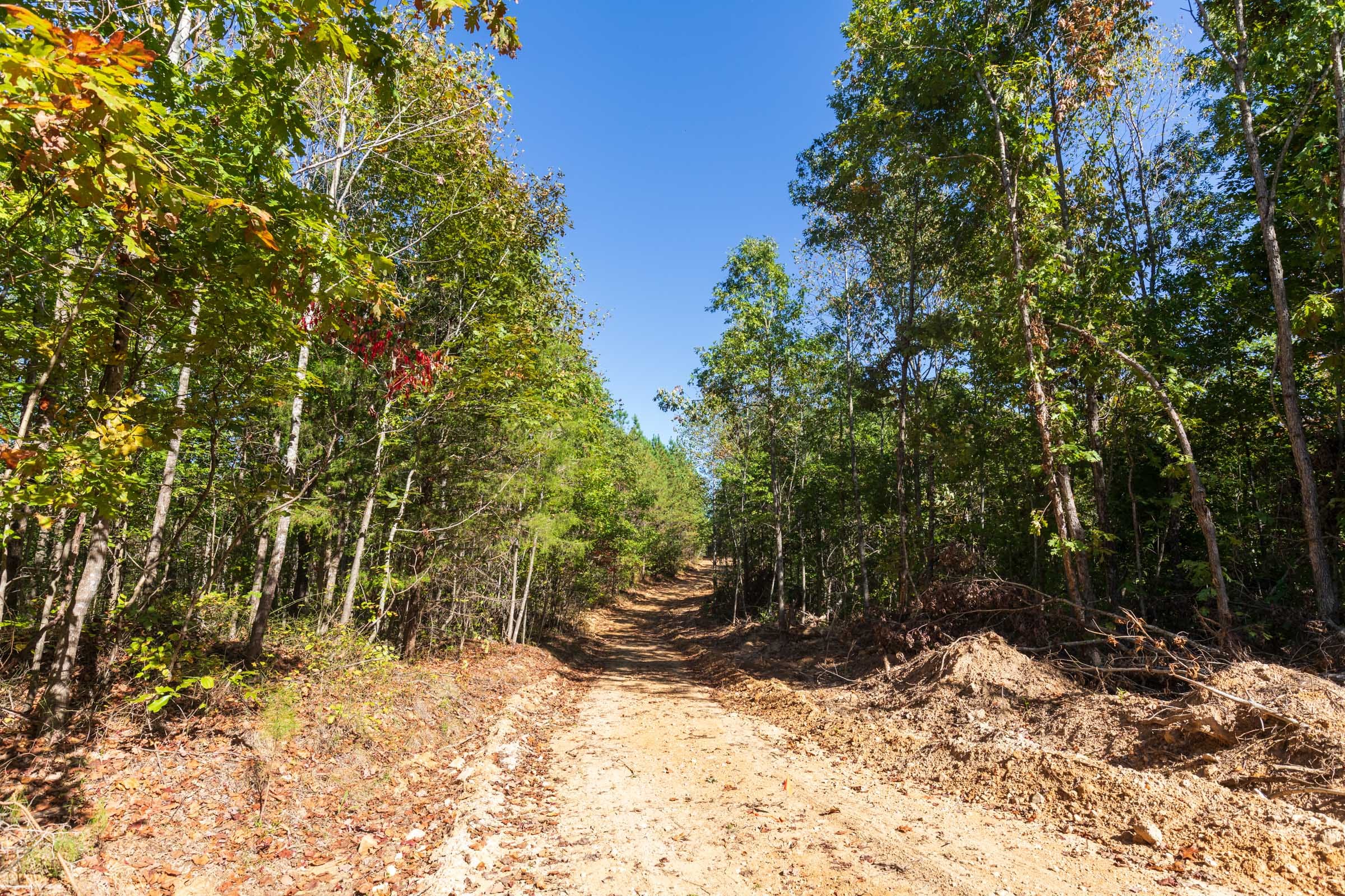 Bear Brook Tract 13 photo 1