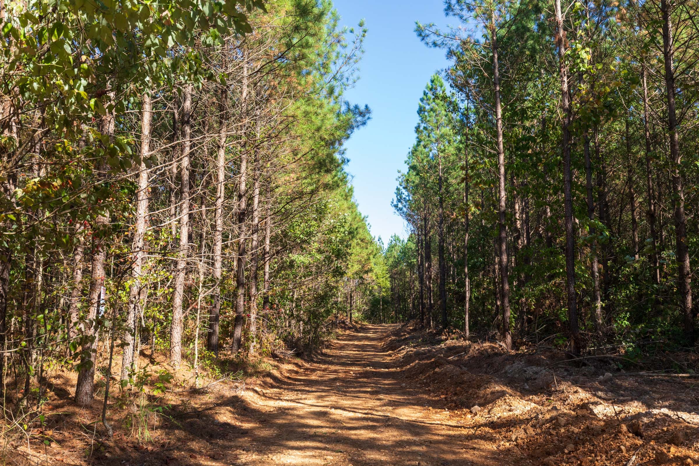 Bear Brook Tract 13 photo 4