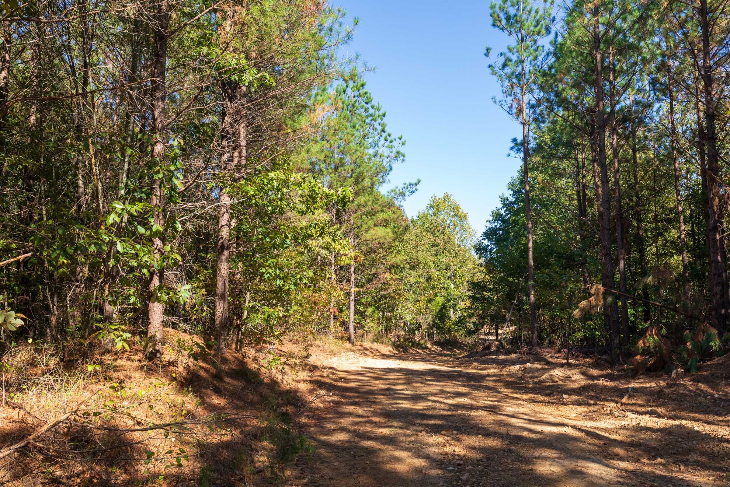 Bear Brook Tract 13 photo 7