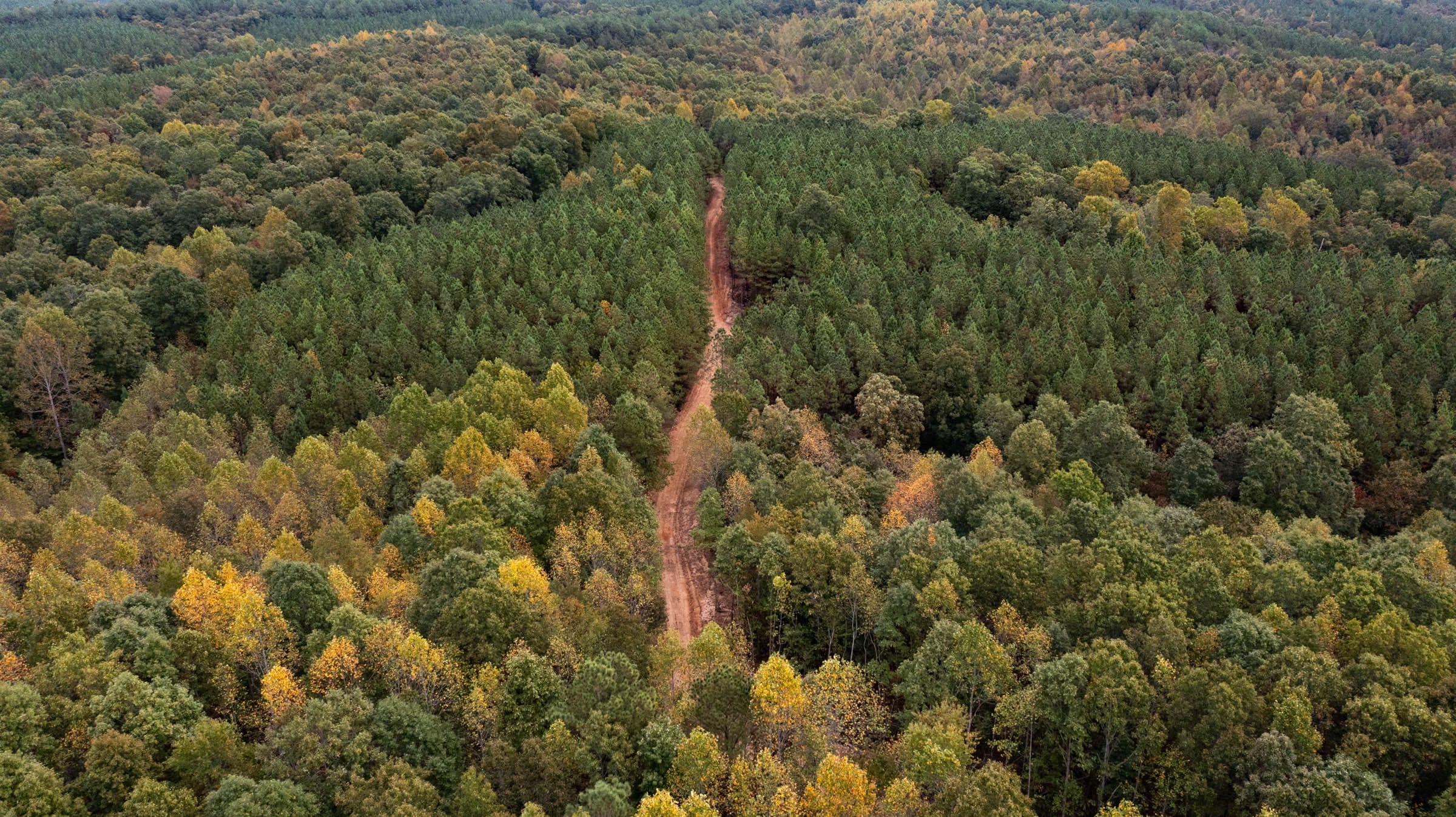Bear Brook Tract 13 photo 3