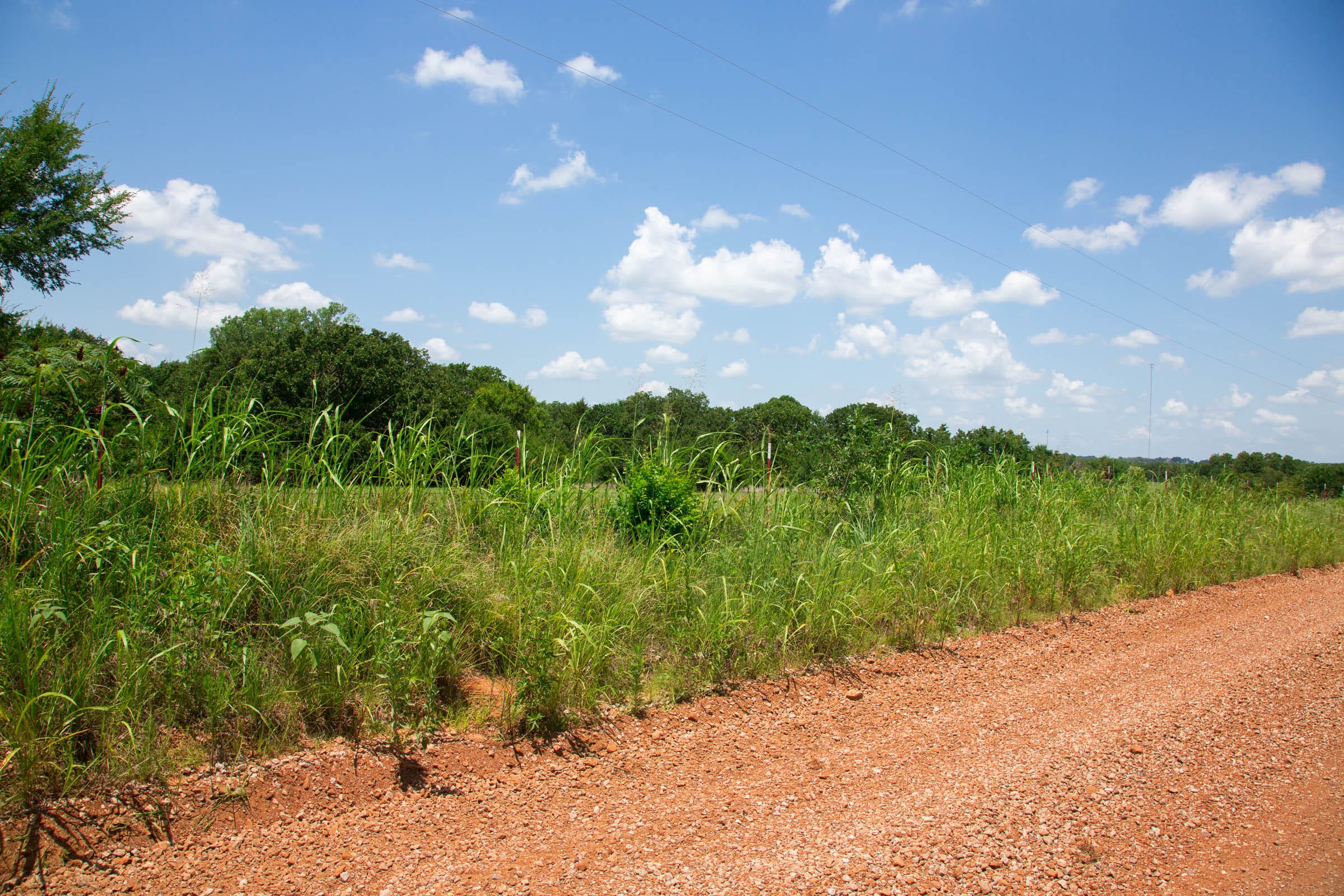 Deep Fork Ranch Tract 13 photo 3