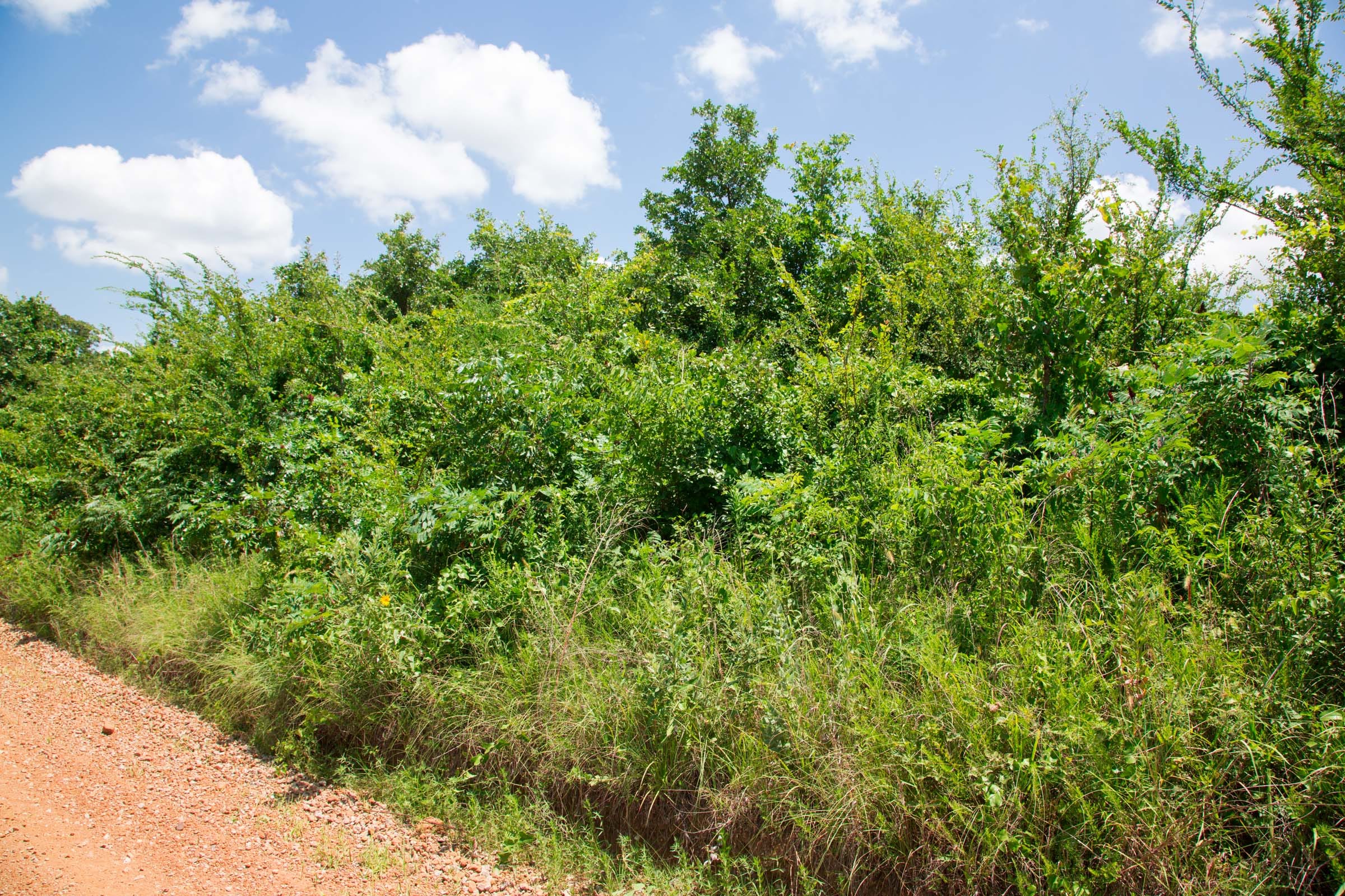 Deep Fork Ranch Tract 13 photo 4