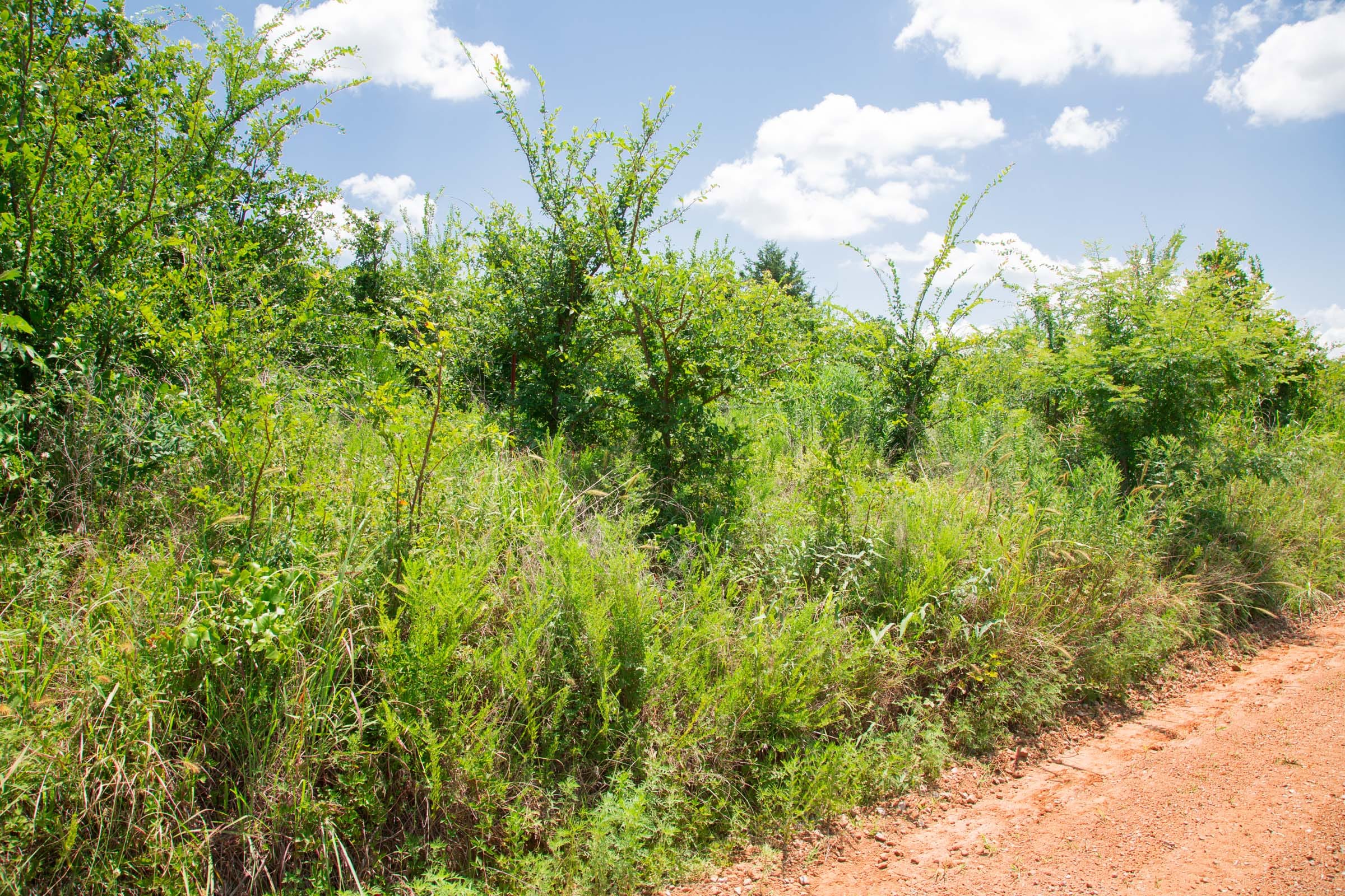 Deep Fork Ranch Tract 13 photo 5