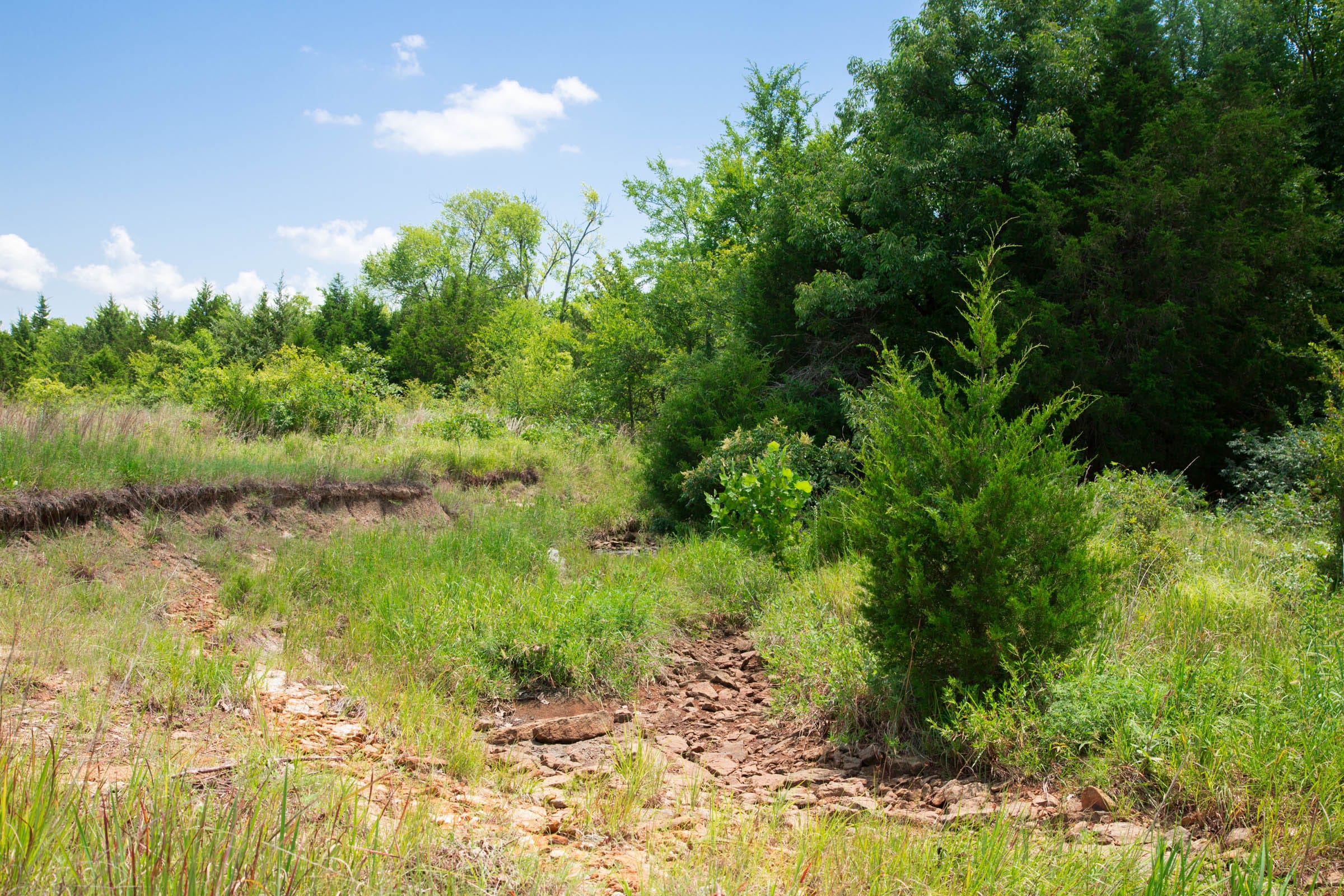 Deep Fork Ranch Tract 13 photo 8