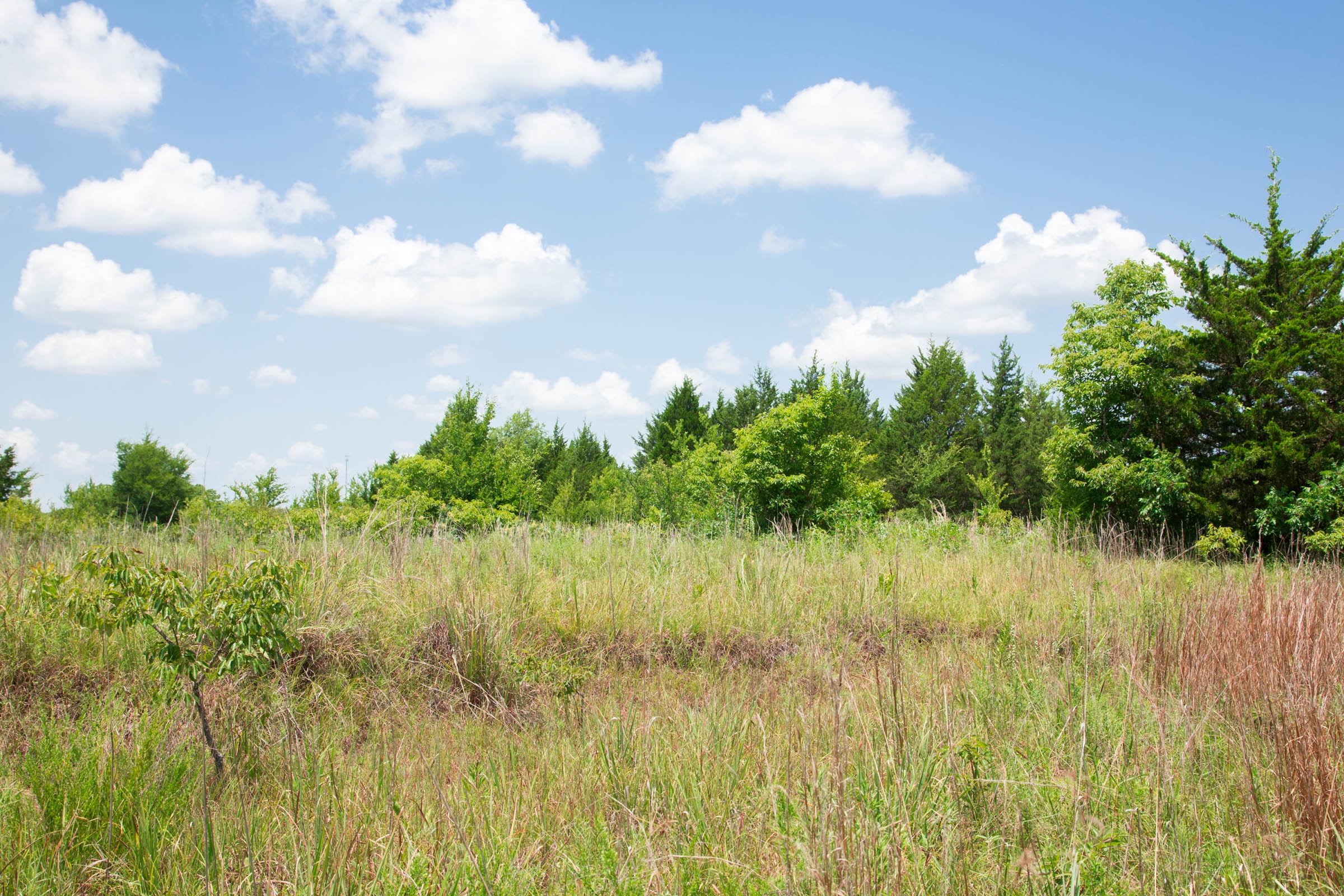 Deep Fork Ranch Tract 13 photo 10