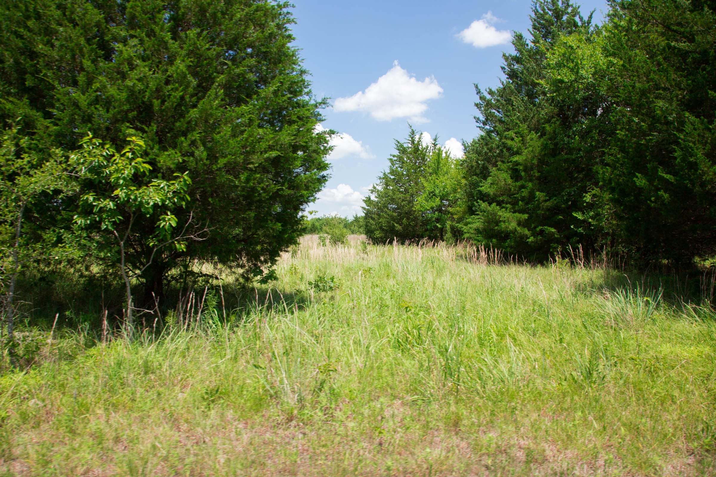 Deep Fork Ranch Tract 13 photo 11