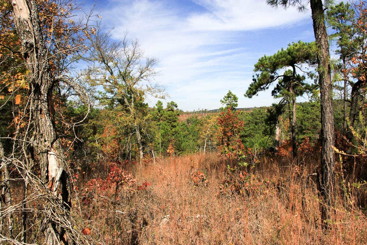 Stone Creek Phase III Tract 44 photo 2