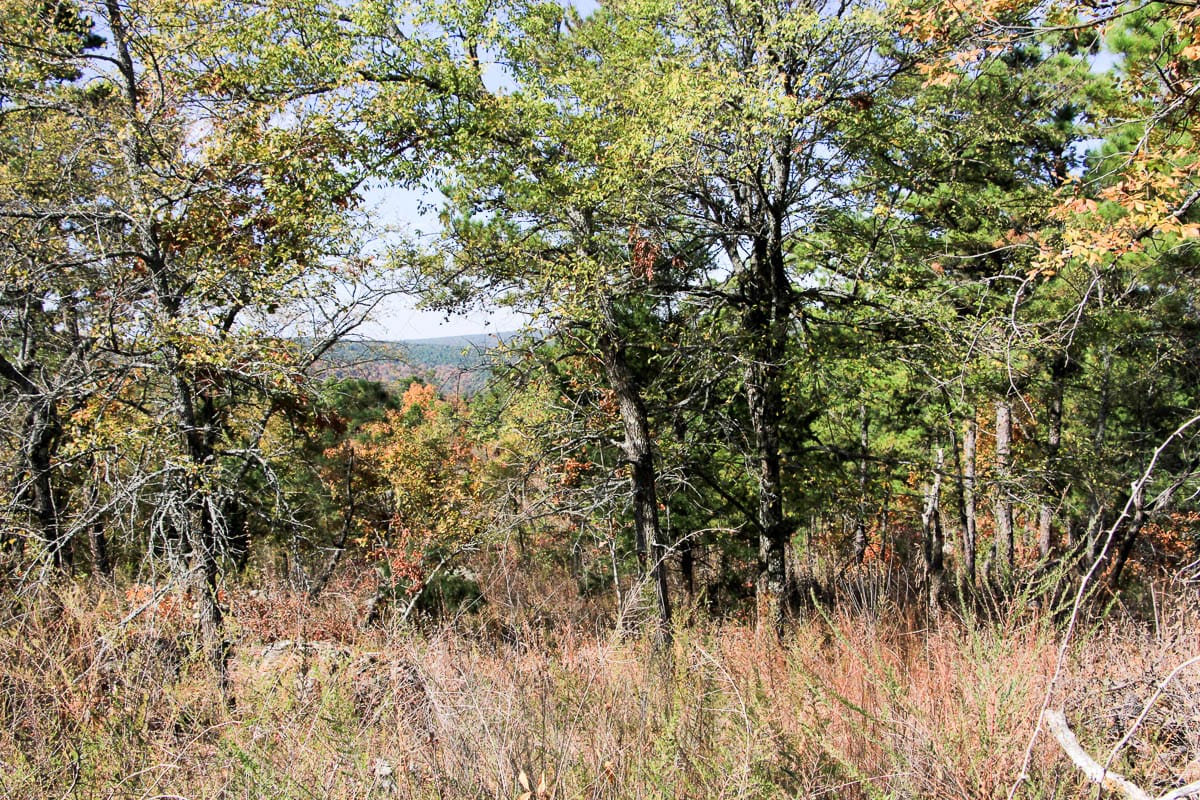 Stone Creek Phase III Tract 44 photo 3