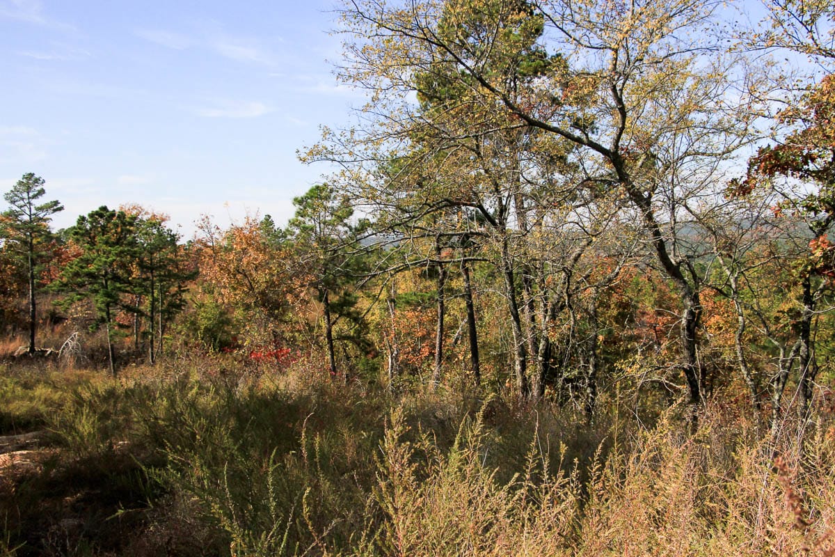 Stone Creek Phase III Tract 44 photo 5