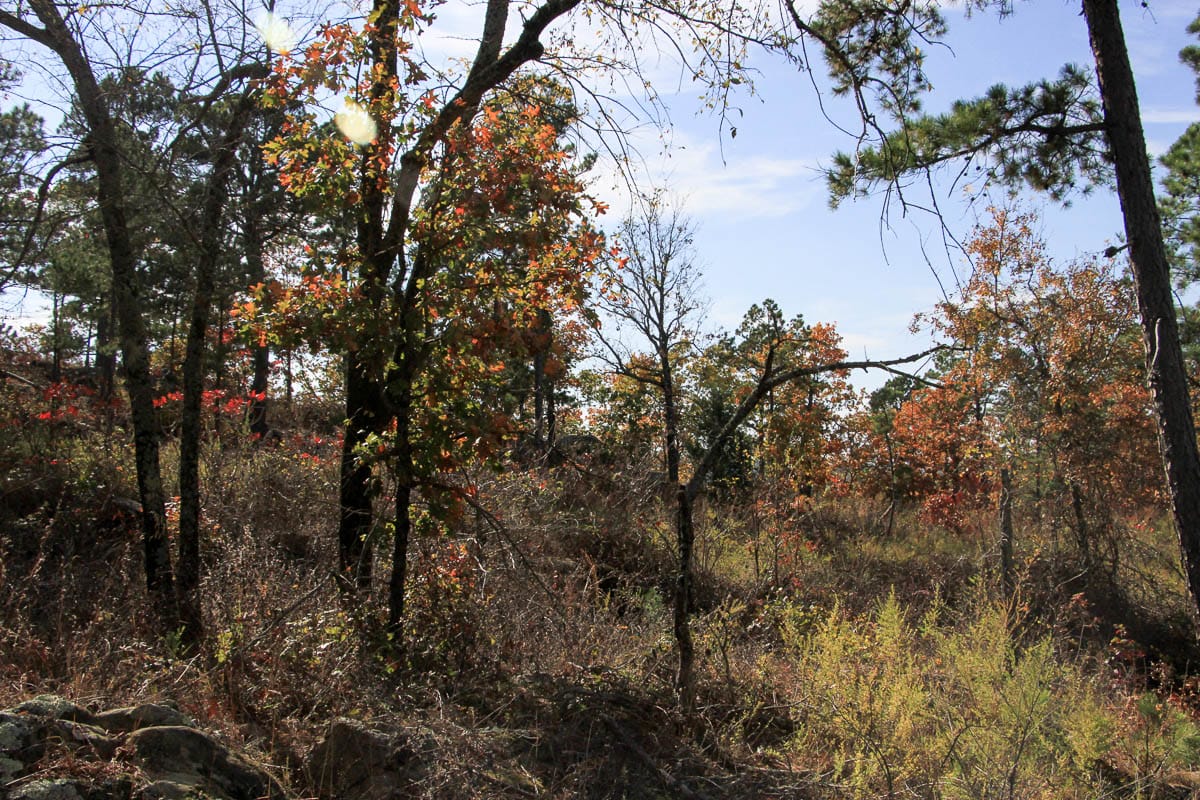 Stone Creek Phase III Tract 44 photo 9