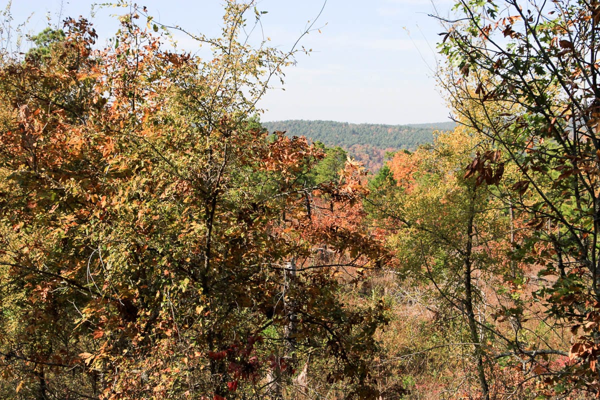 Stone Creek Phase III Tract 44 photo 10