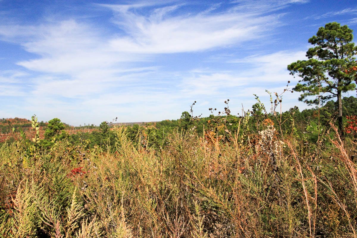 Stone Creek Phase III Tract 44 photo 13