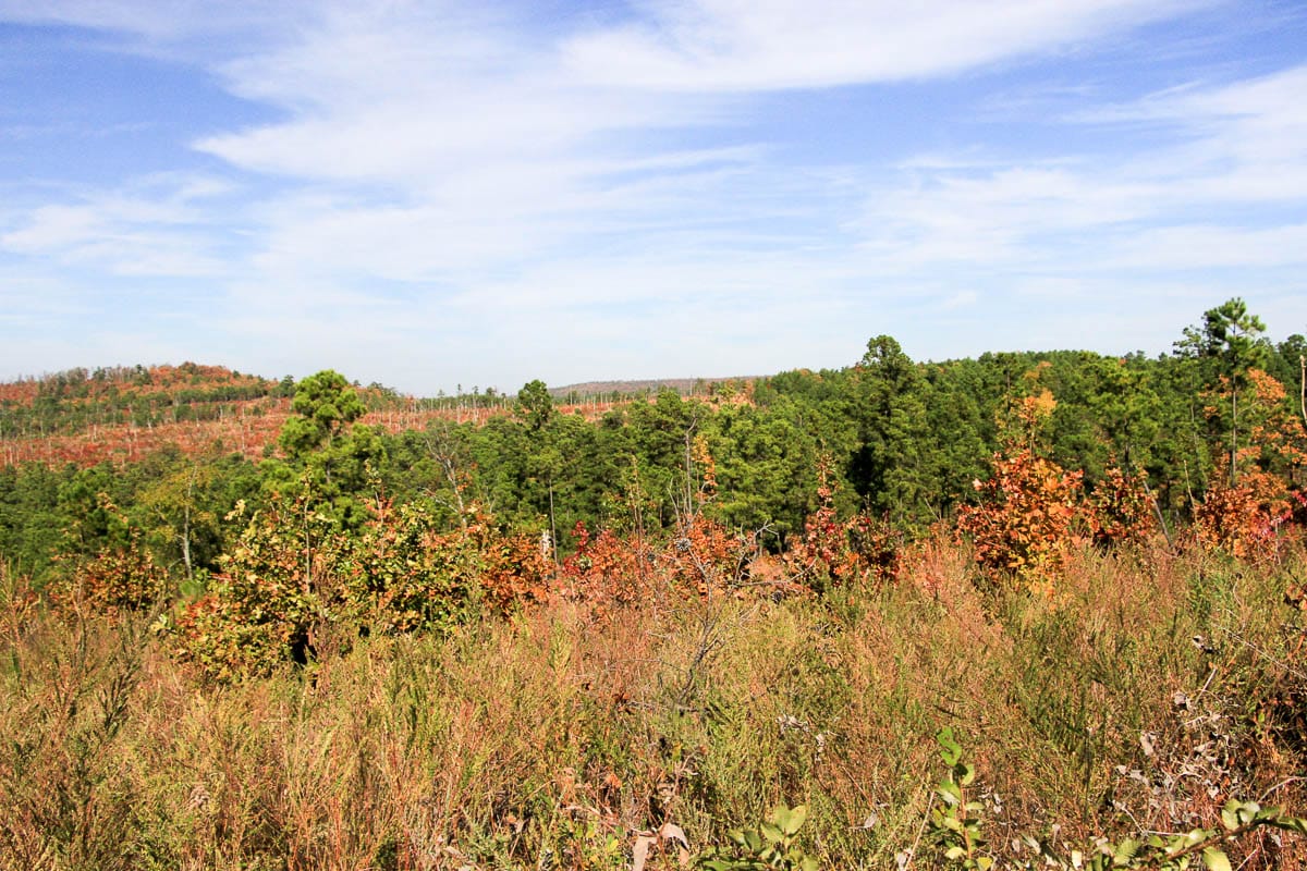 Stone Creek Phase III Tract 44 photo 15