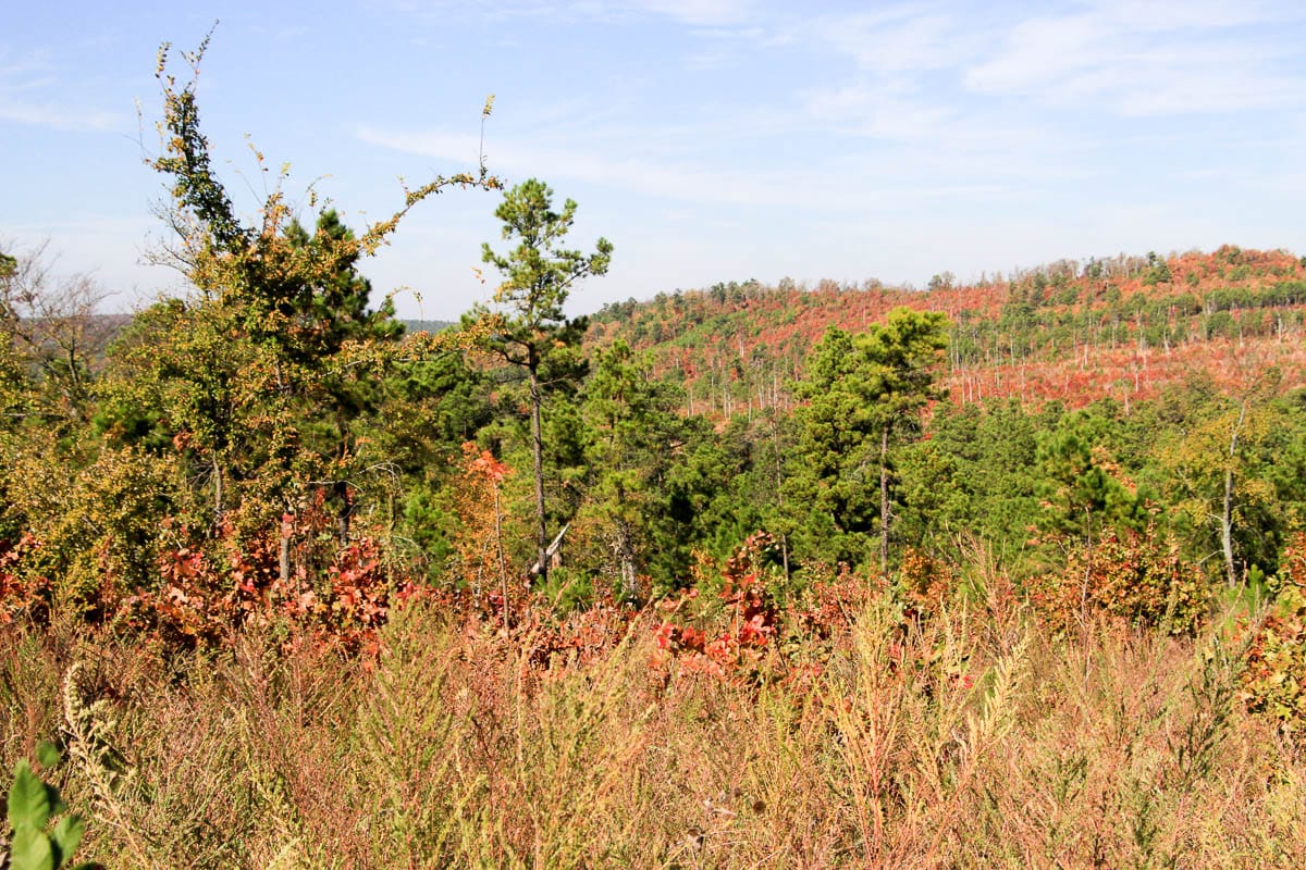 Stone Creek Phase III Tract 44 photo 16