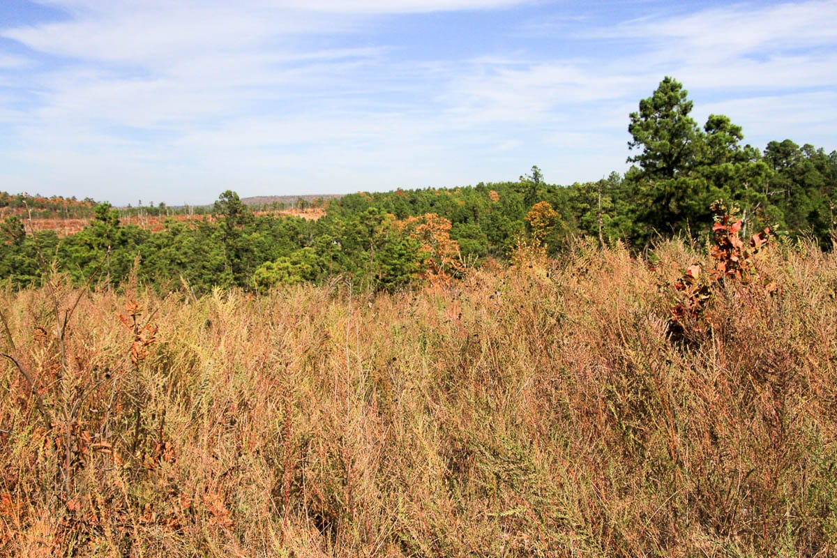 Stone Creek Phase III Tract 44 photo 19