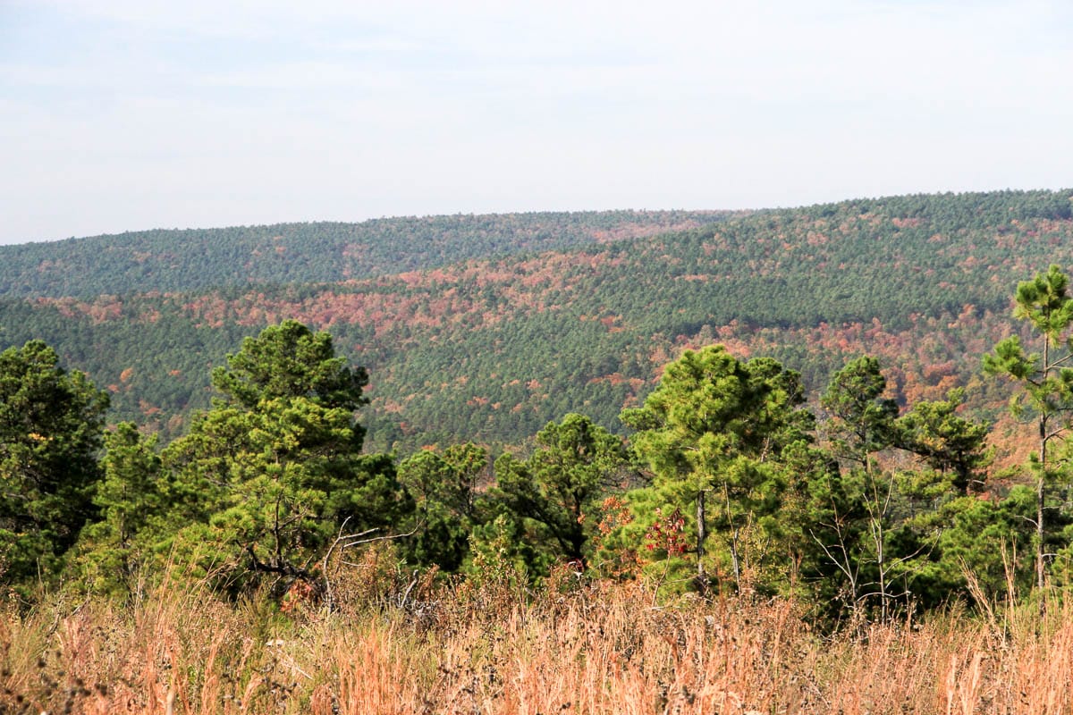 Stone Creek Phase III Tract 44 photo 23