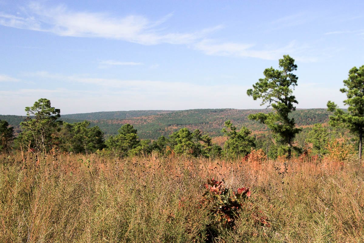 Stone Creek Phase III Tract 44 photo 25