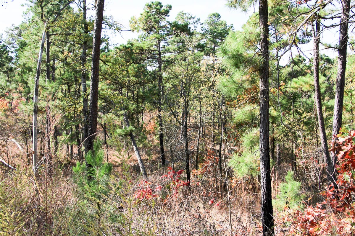 Stone Creek Phase III Tract 44 photo 26