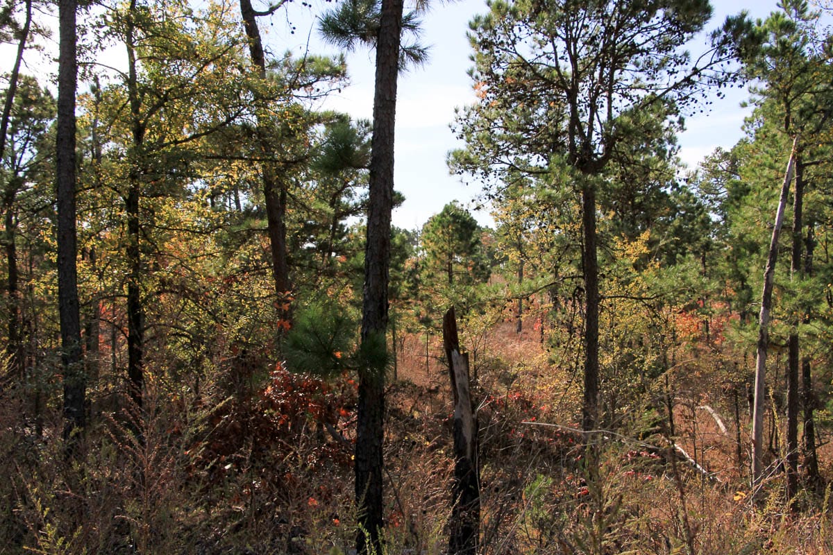 Stone Creek Phase III Tract 44 photo 27