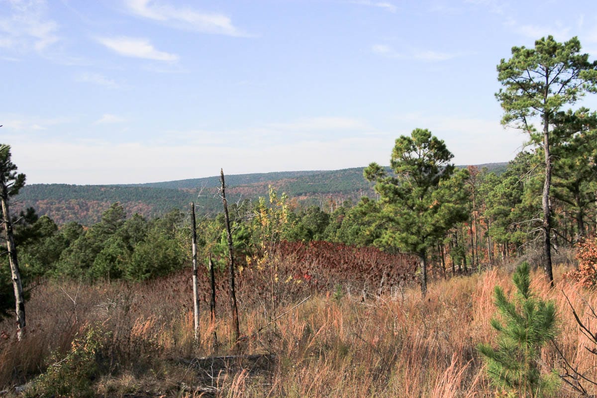 Stone Creek Phase III Tract 44 photo 32
