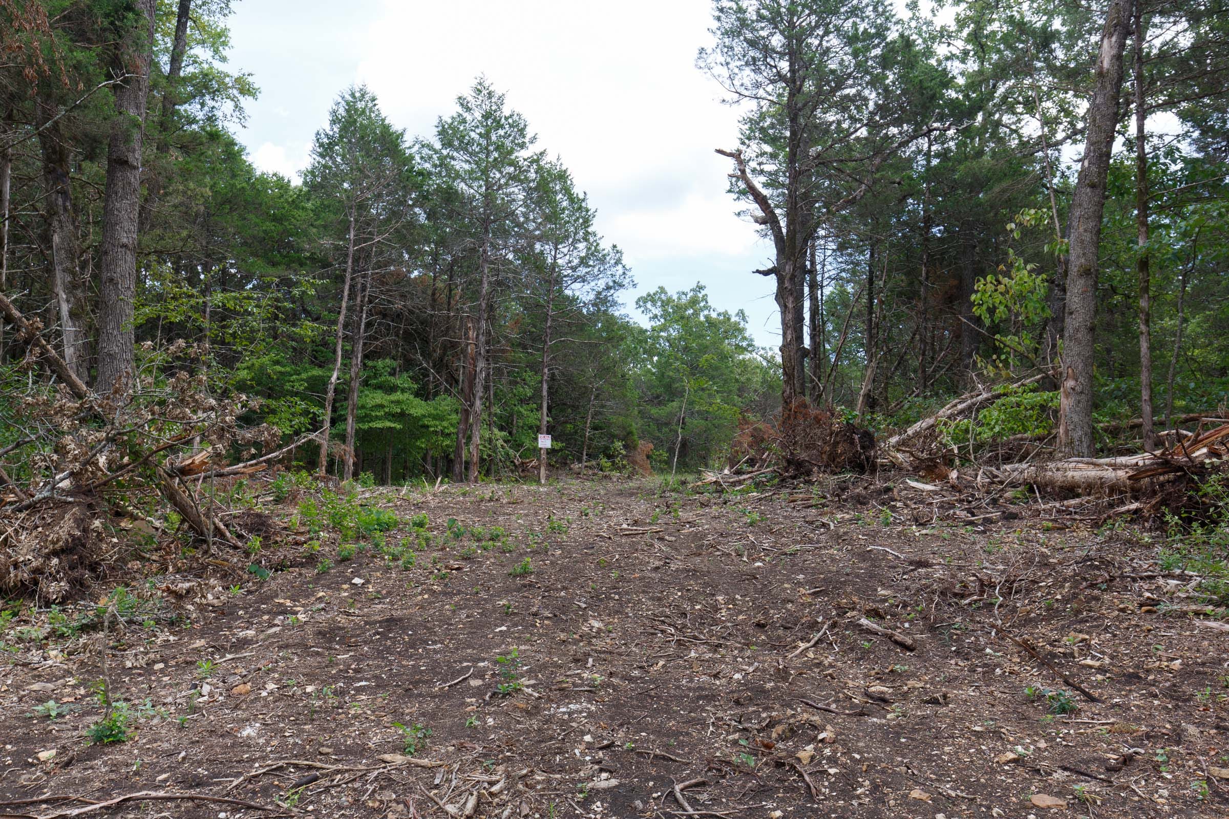 Wildwood Tract 17 photo 6
