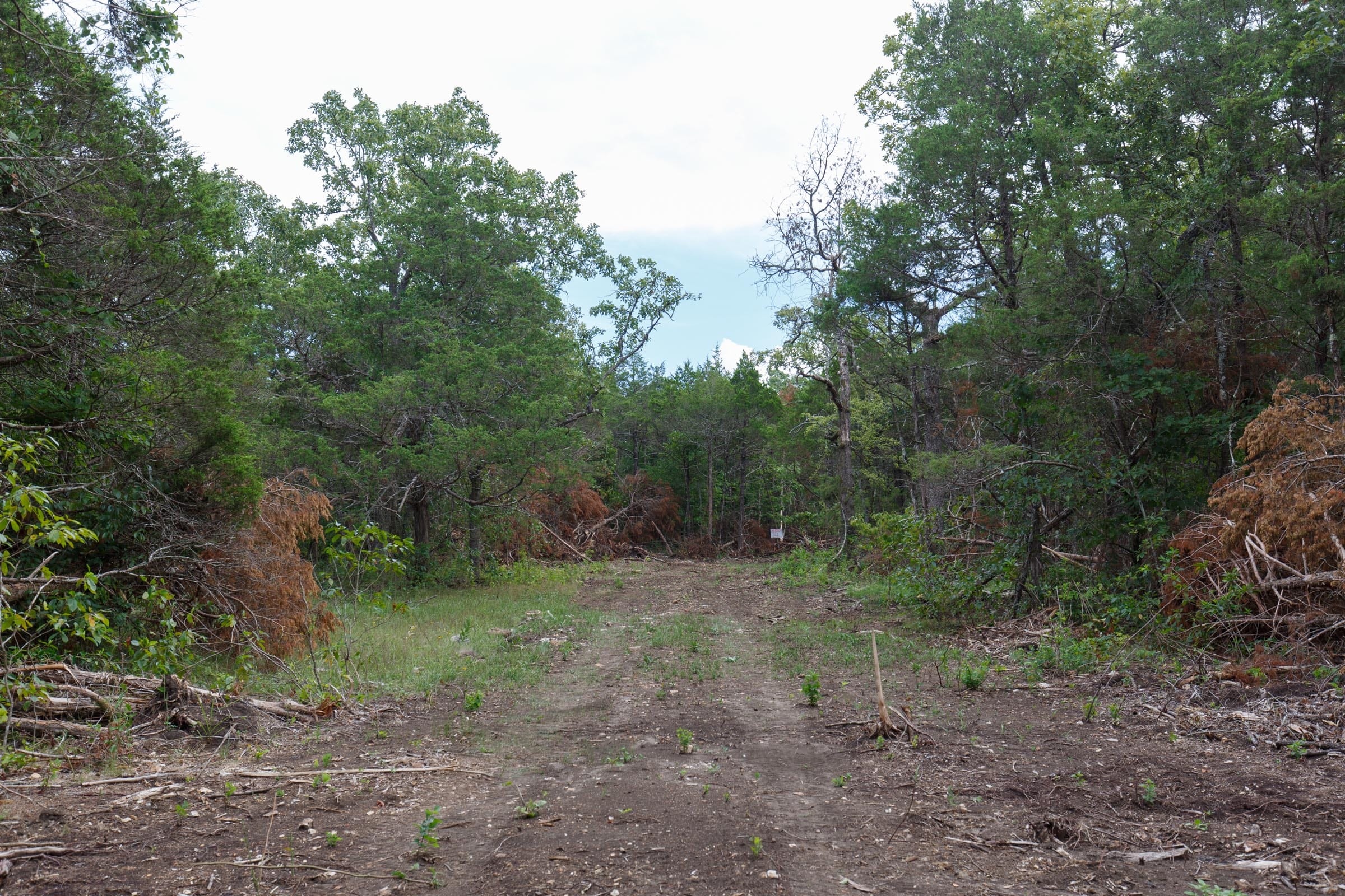 Wildwood Tract 17 photo 1