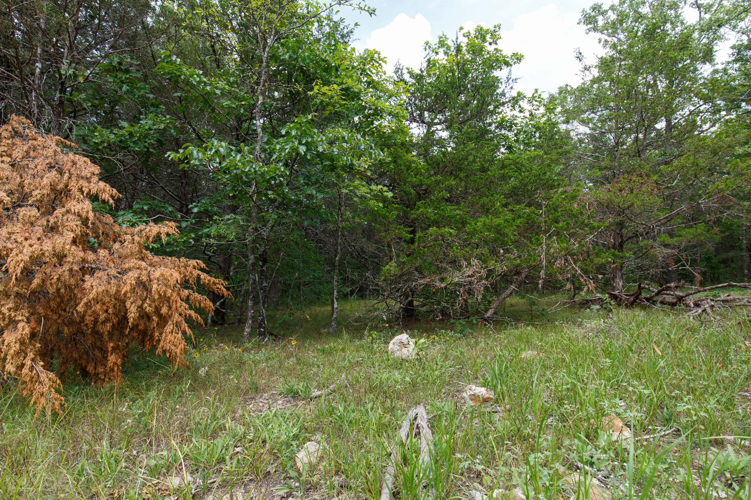 Wildwood Tract 17 photo 8