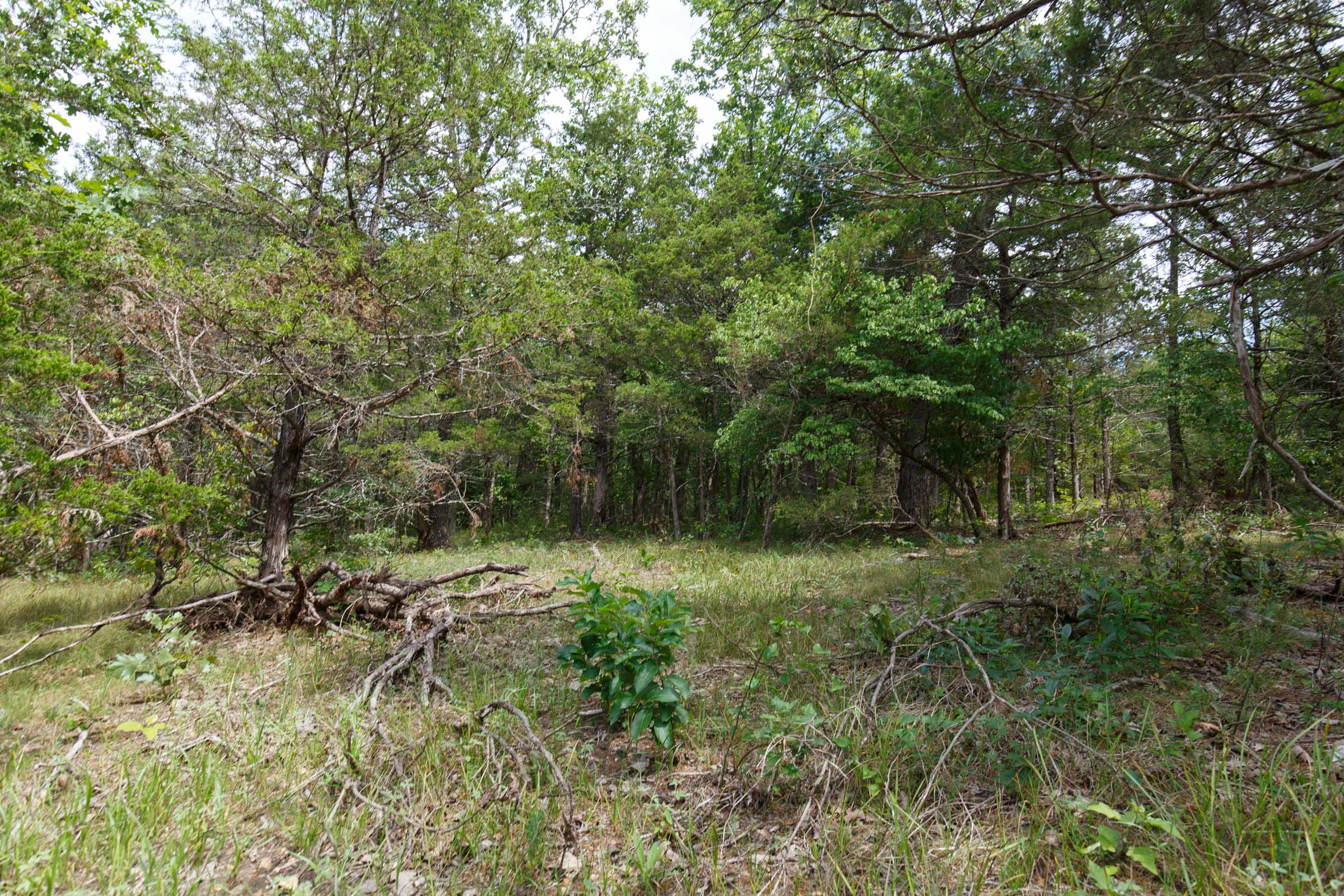Wildwood Tract 17 photo 10