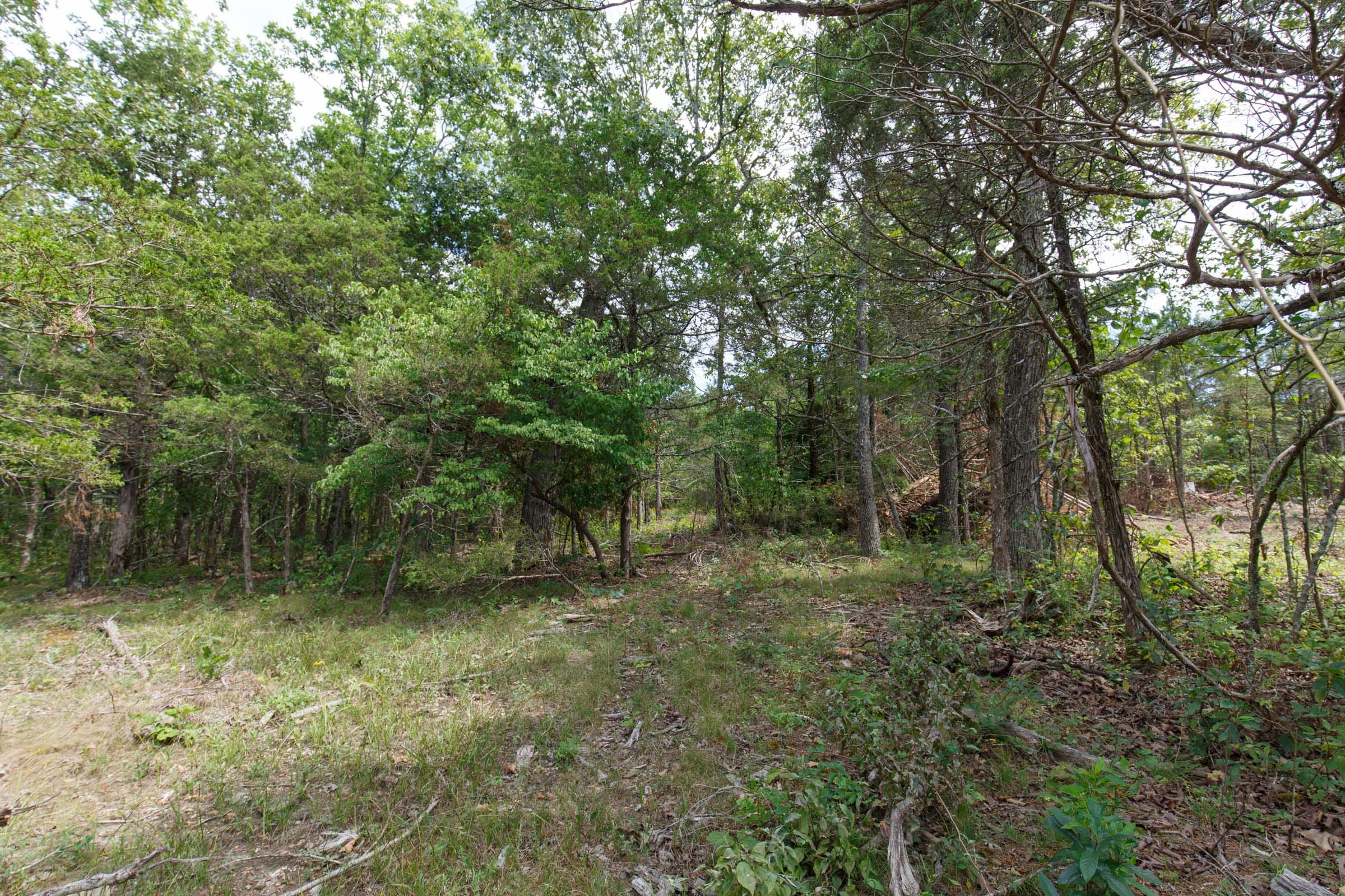 Wildwood Tract 17 photo 9