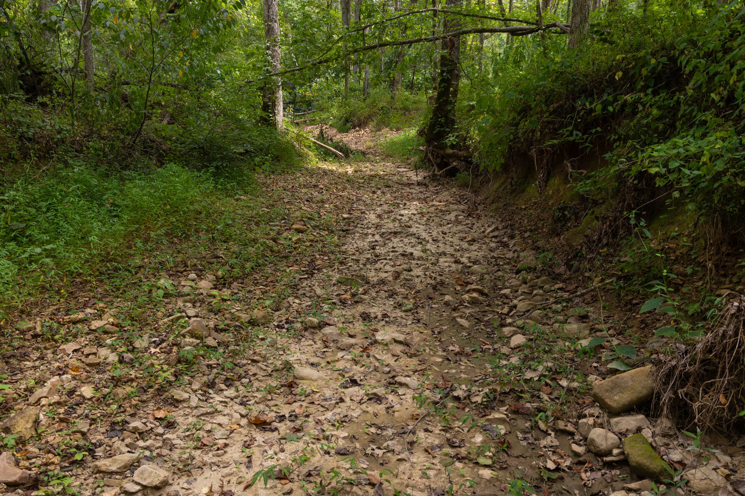 Big White Oak Tract 125 photo 8
