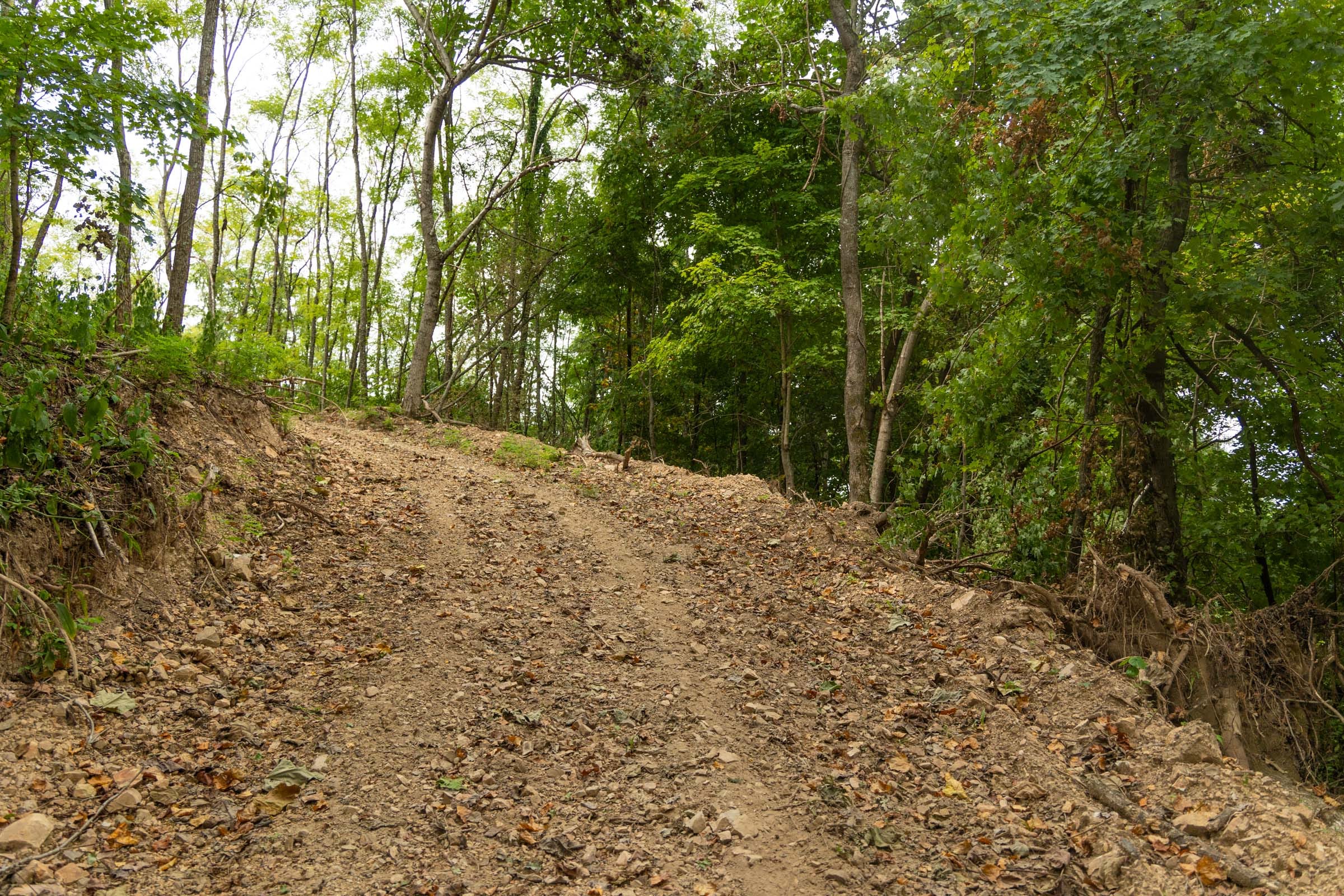 Big White Oak Tract 134 photo 18