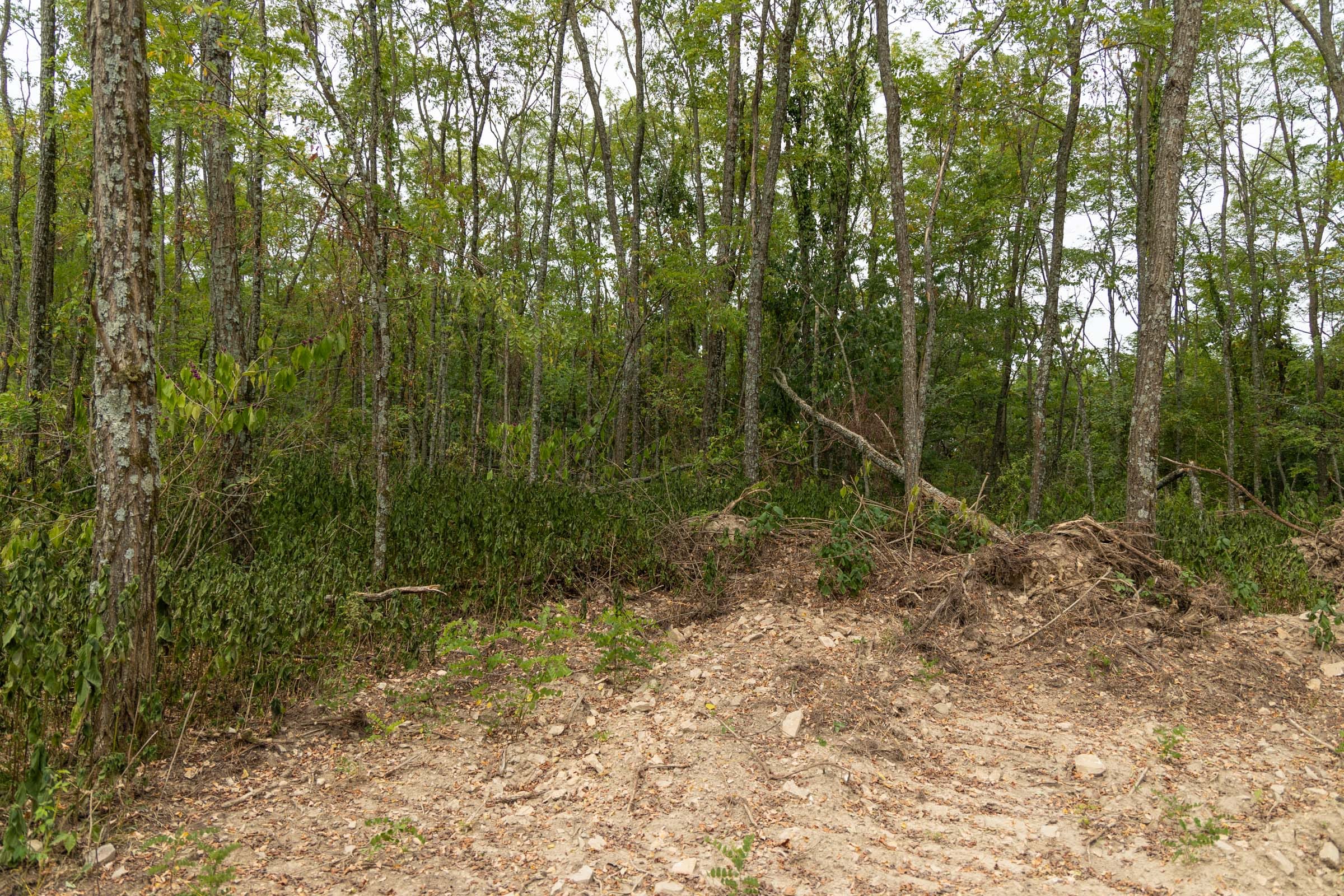 Big White Oak Tract 134 photo 14