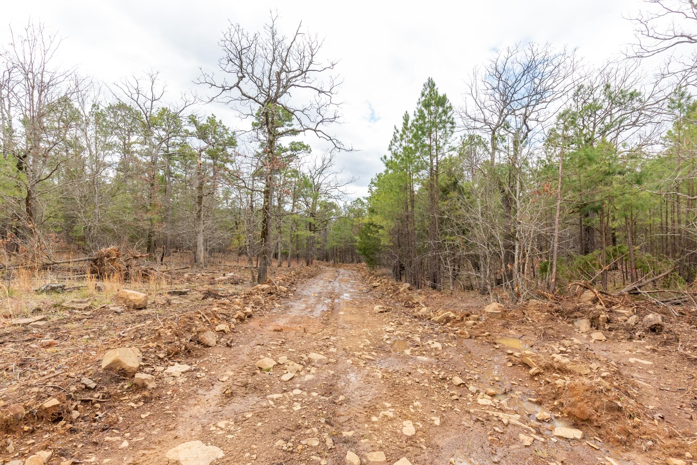 Stone Bridge Phase III Tract 176 photo 1