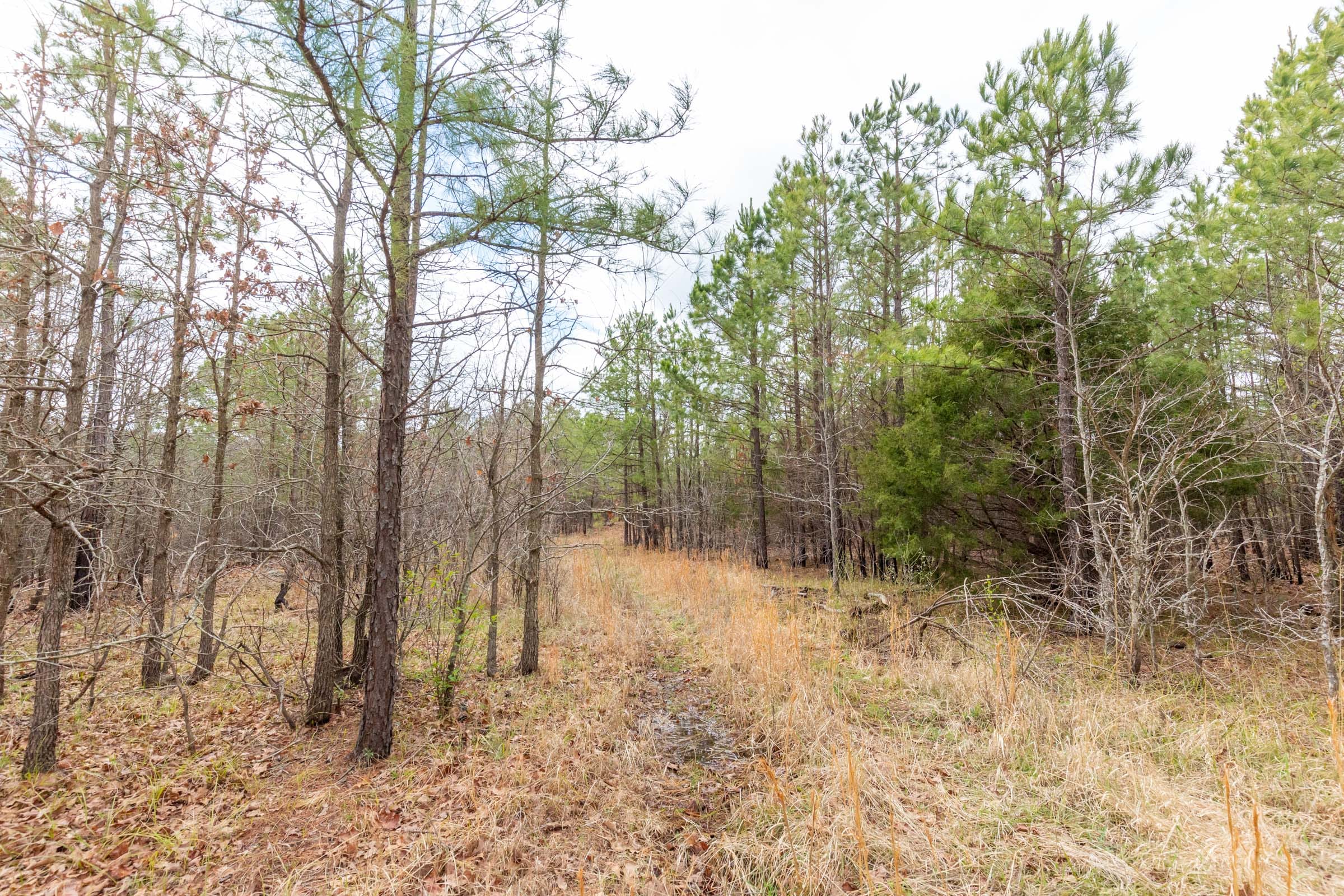 Stone Bridge Phase III Tract 176 photo 5