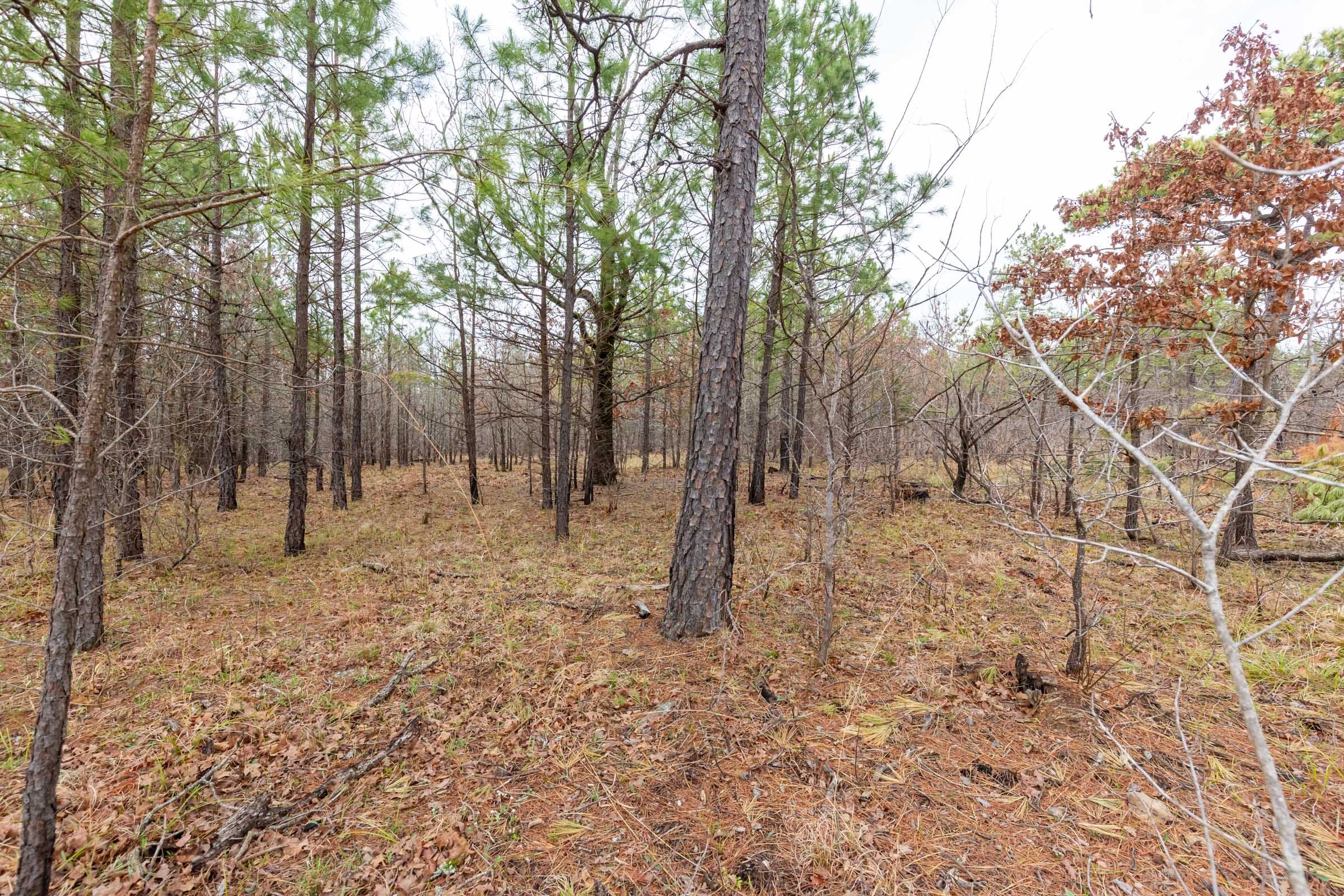 Stone Bridge Phase III Tract 176 photo 11