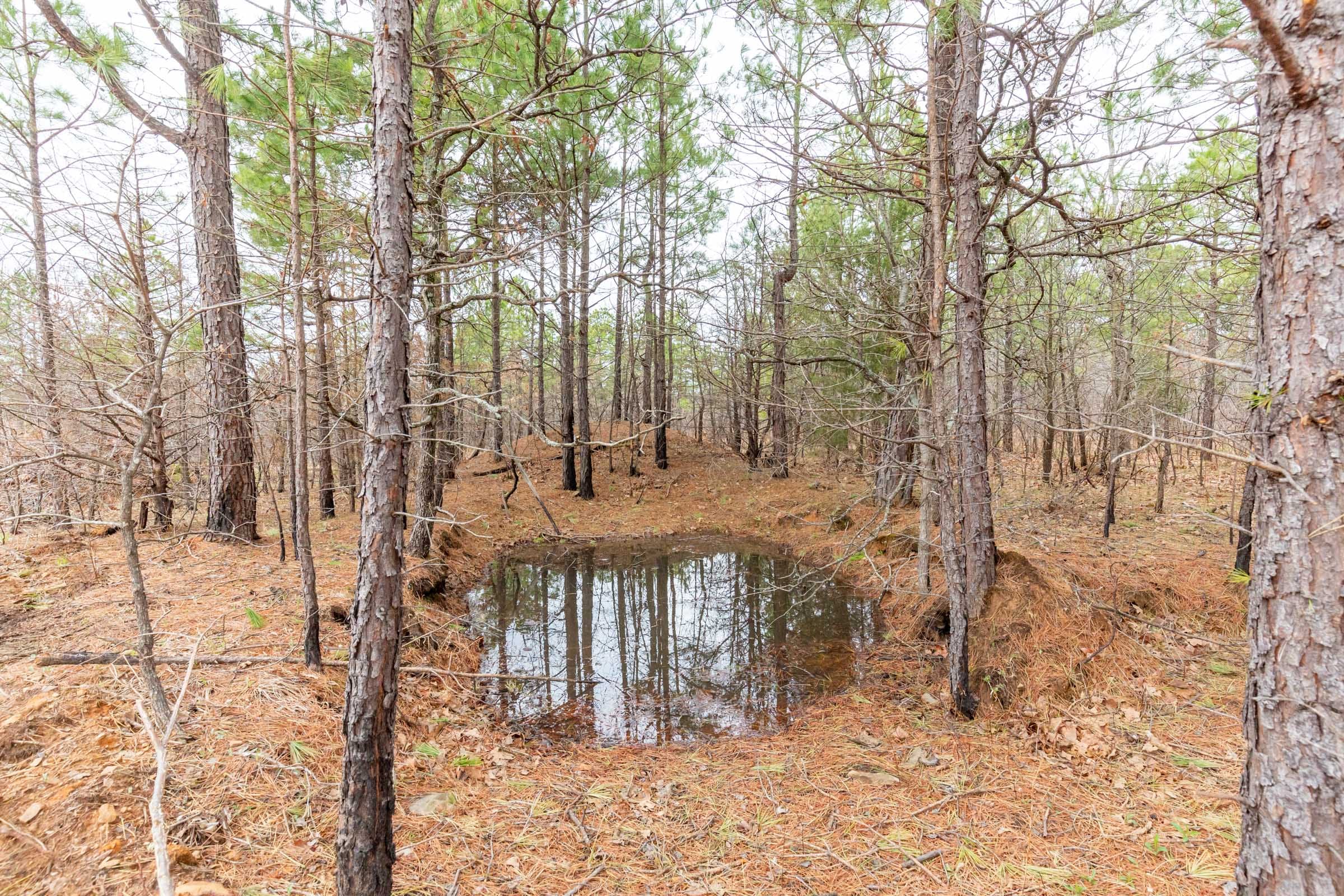Stone Bridge Phase III Tract 176 photo 2