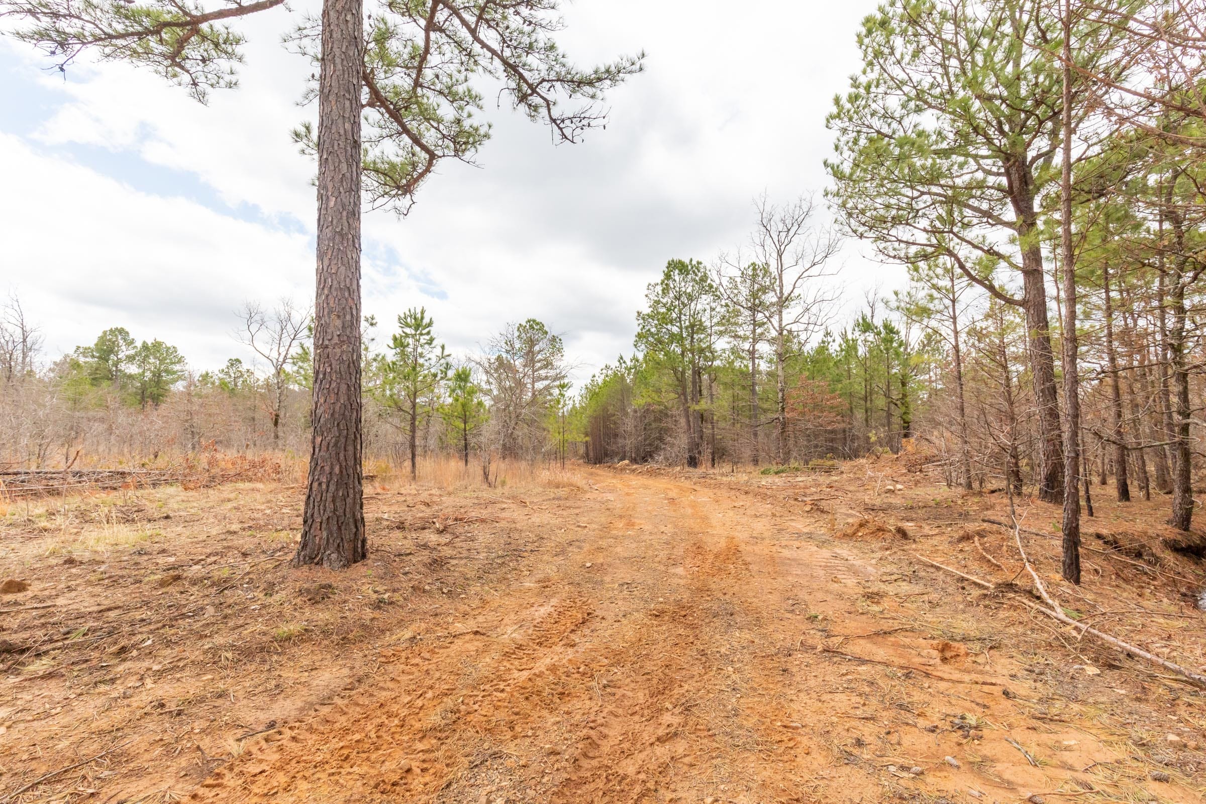 Stone Bridge Phase III Tract 176 photo 9