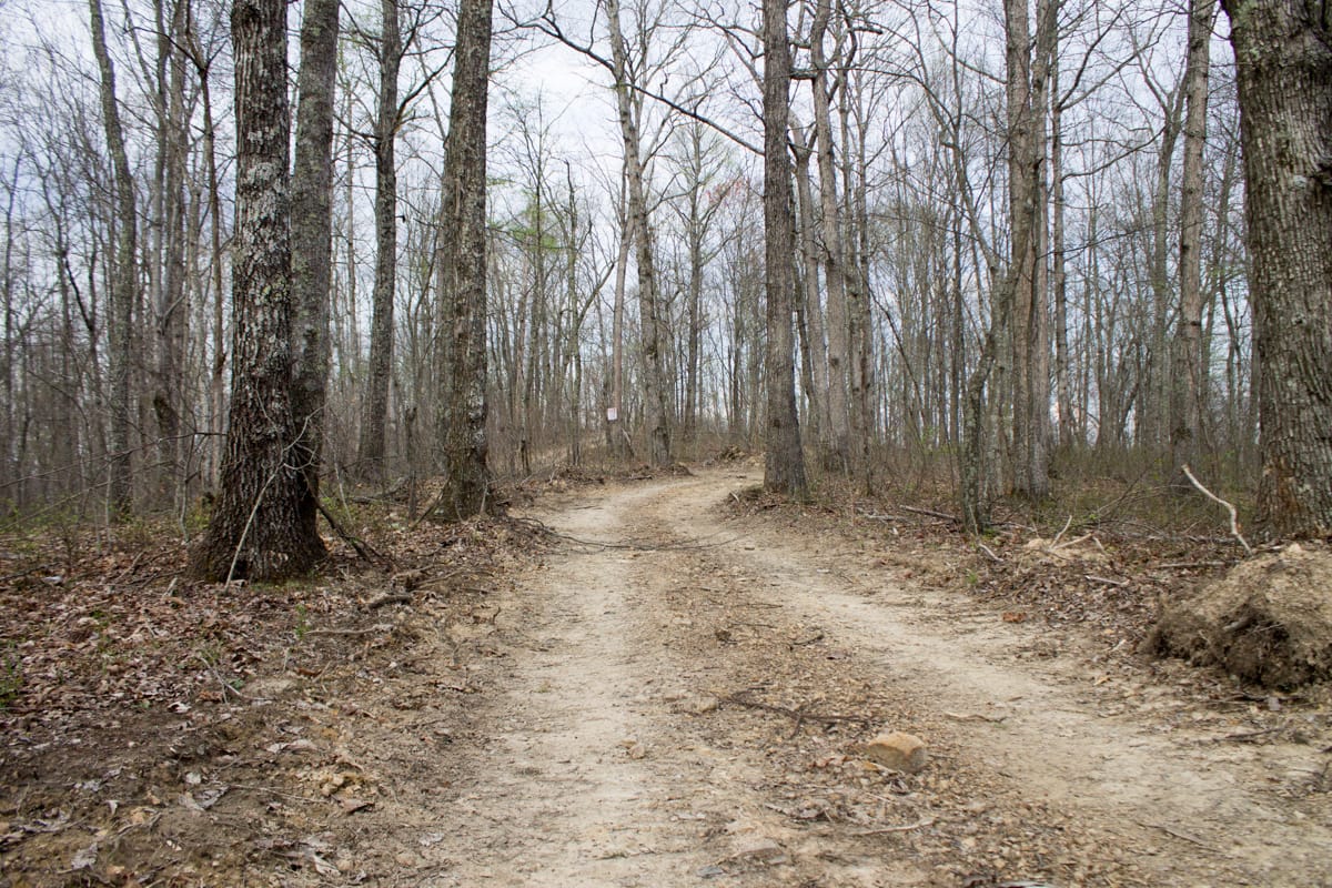 Chestnut Oak Ridge Tract 21 photo 11