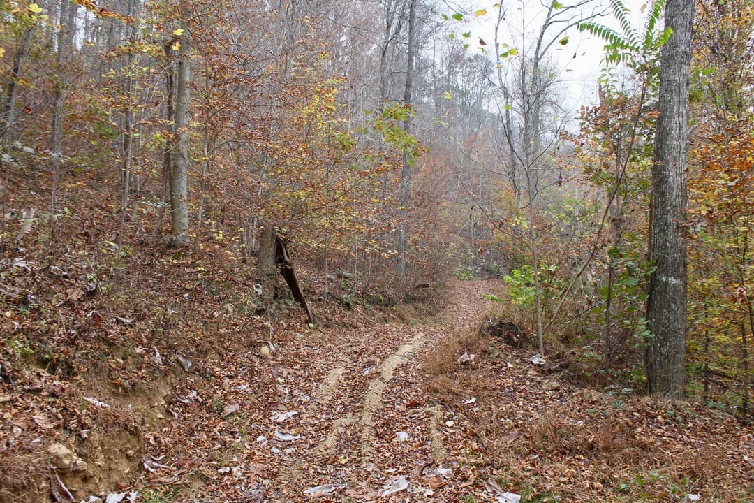 Autumn Ridge Tract 17 photo 1