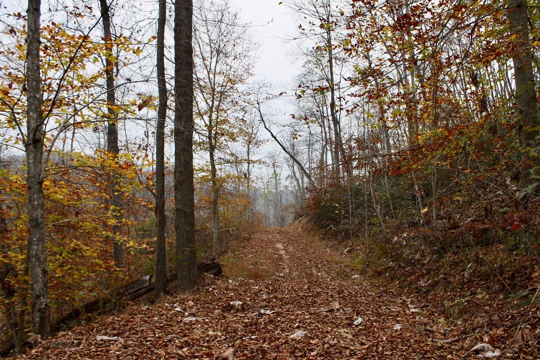 Autumn Ridge Tract 17 photo 5