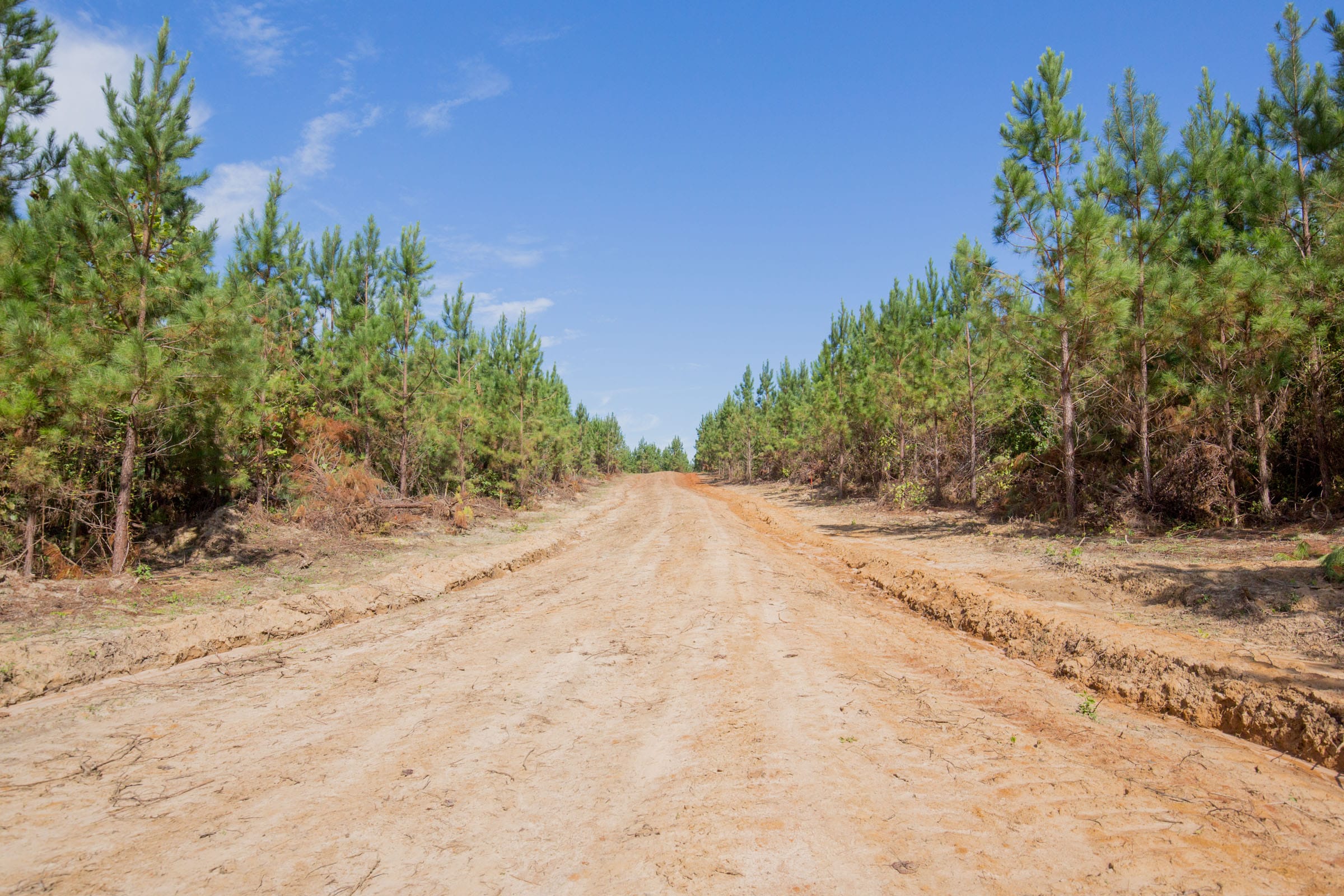 Sky Ranch Tract 7 photo 3