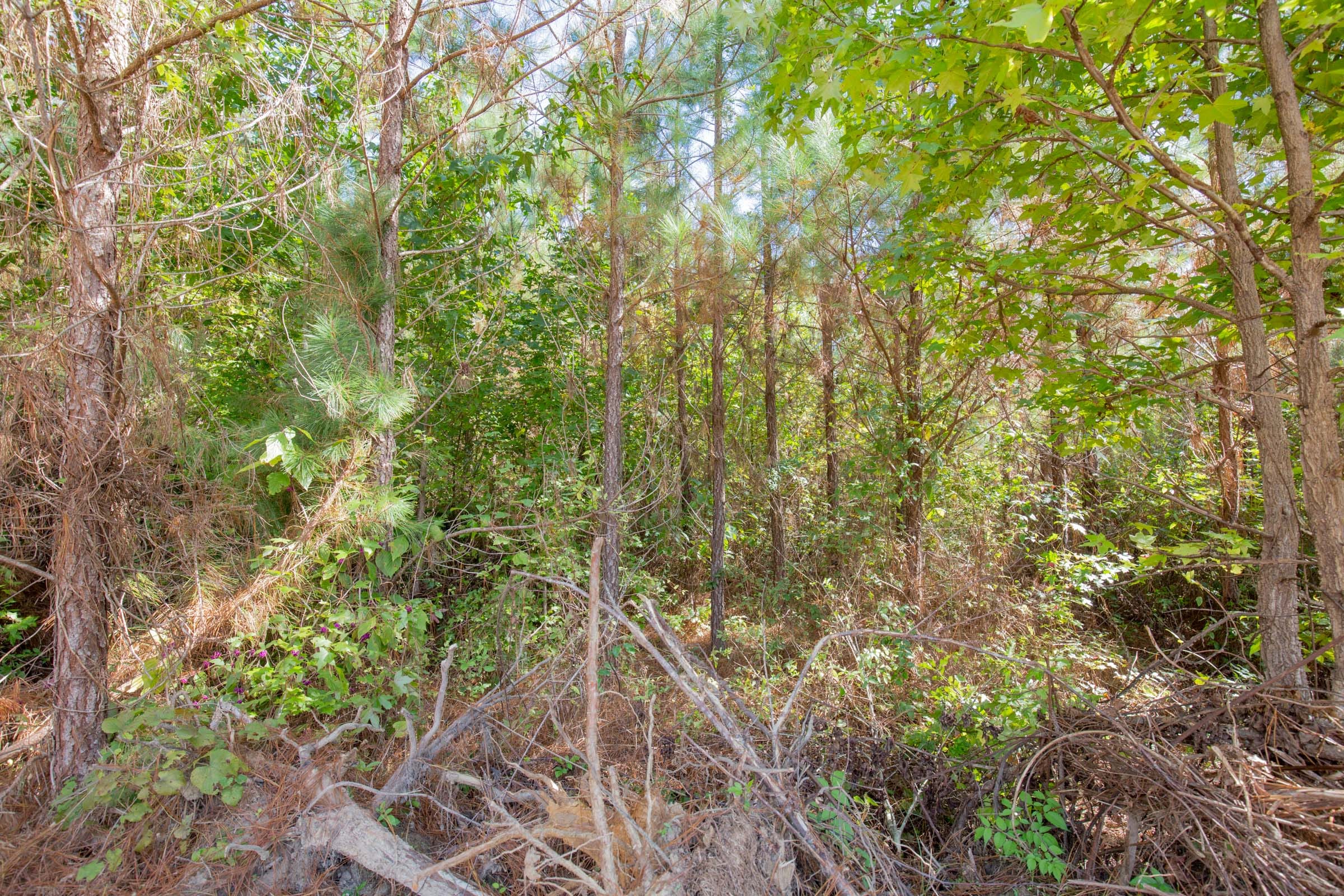 Sky Ranch Tract 7 photo 5
