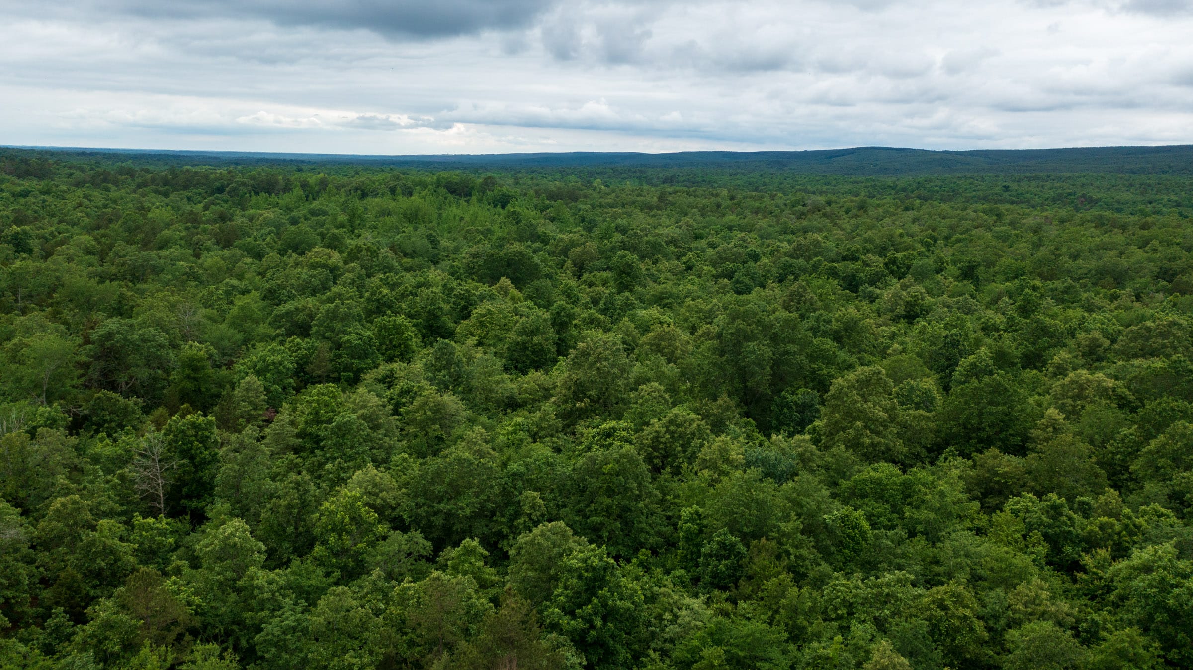 Falcon Crest Tract 15 photo 2