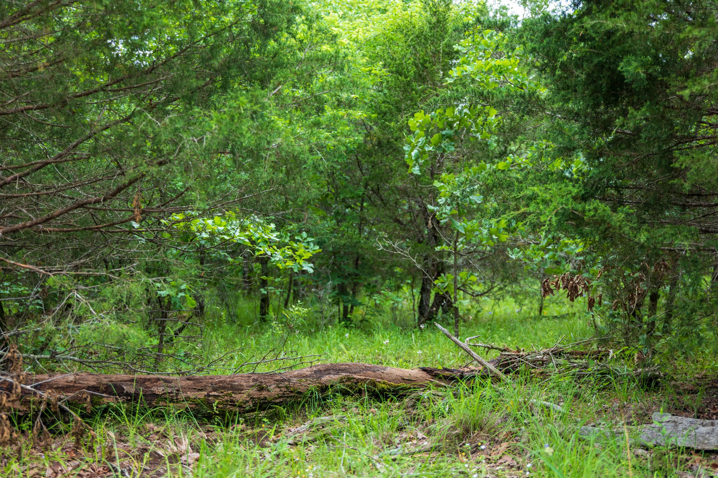 Falcon Crest Tract 15 photo 3