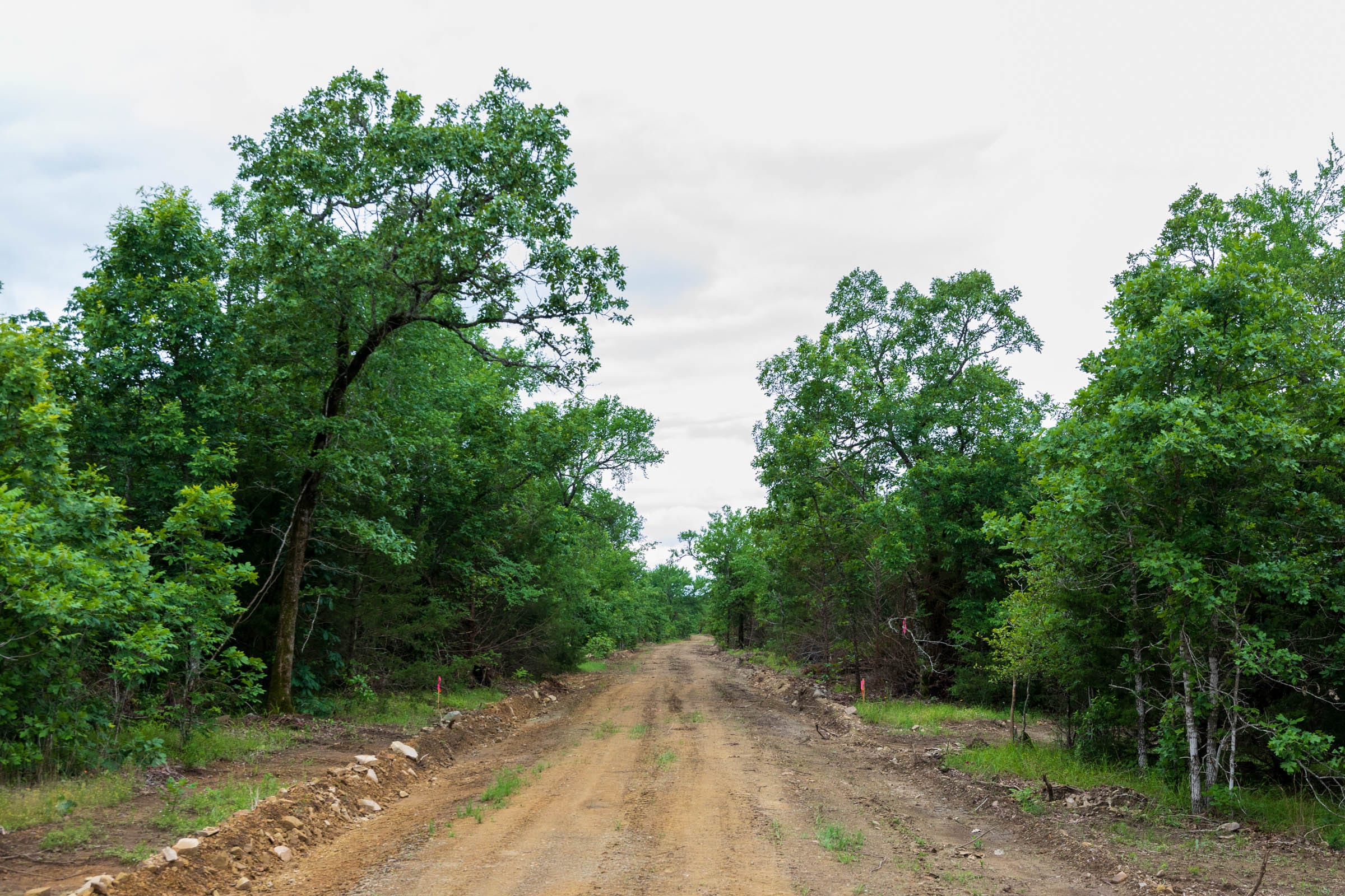 Falcon Crest Tract 15 photo 4