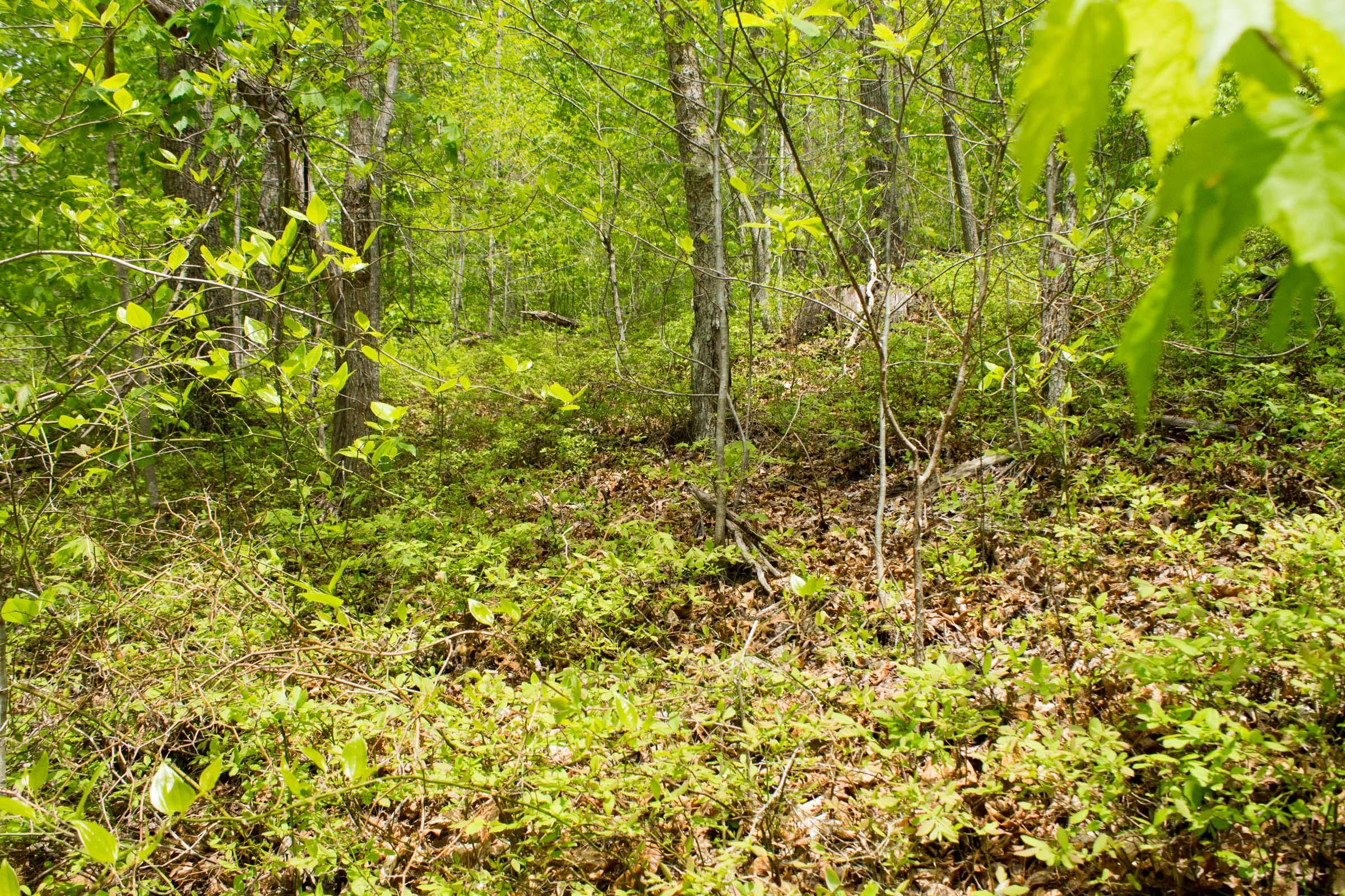 Trails End Tract 13 photo 3