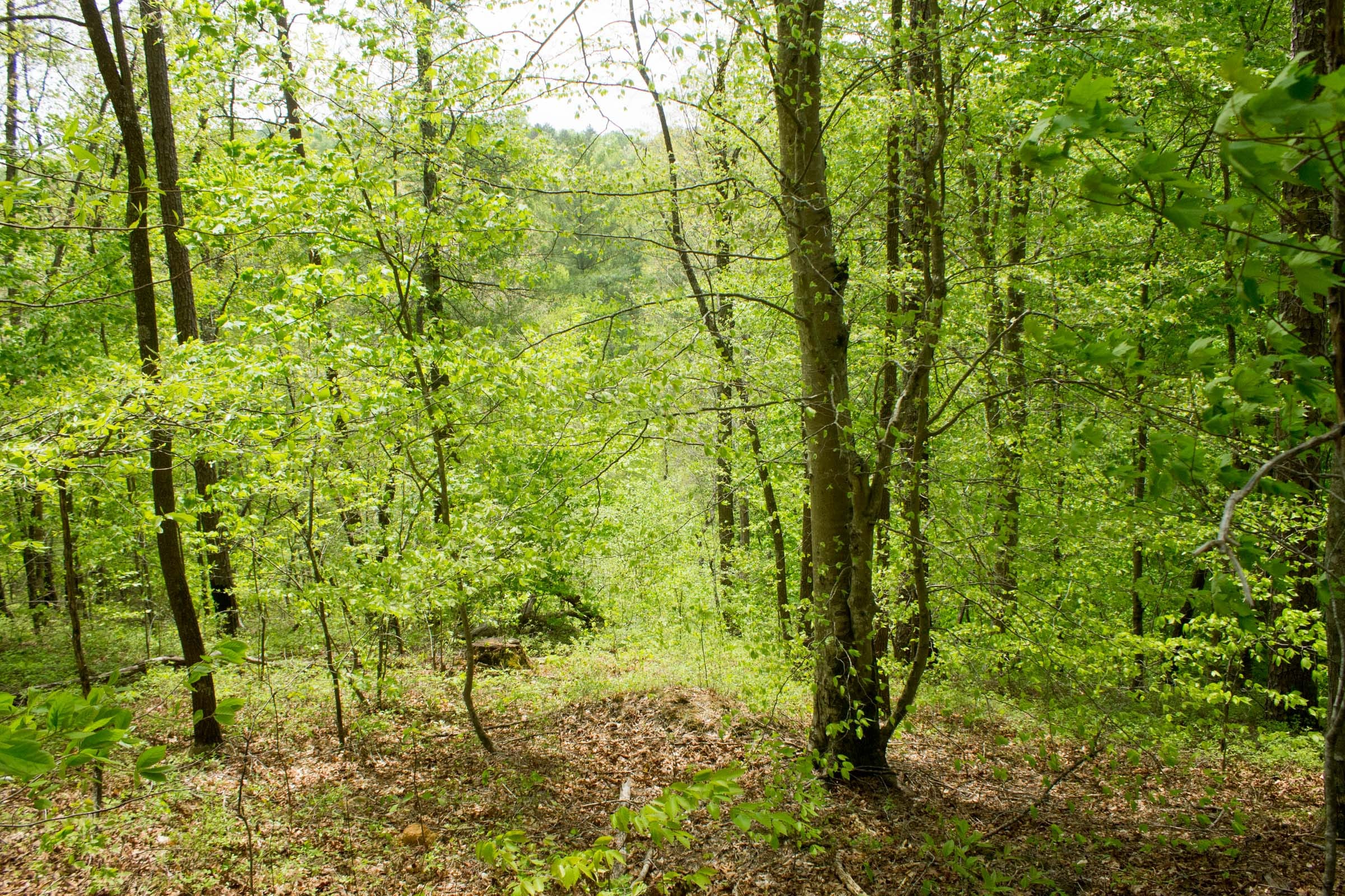 Trails End Tract 13 photo 5