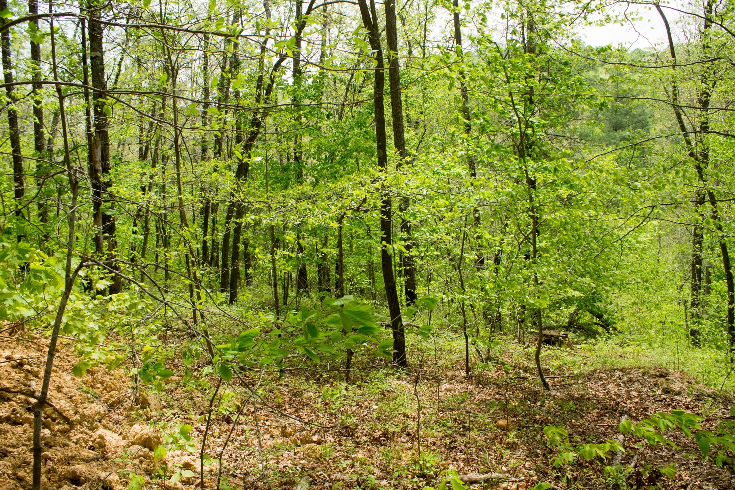 Trails End Tract 13 photo 6