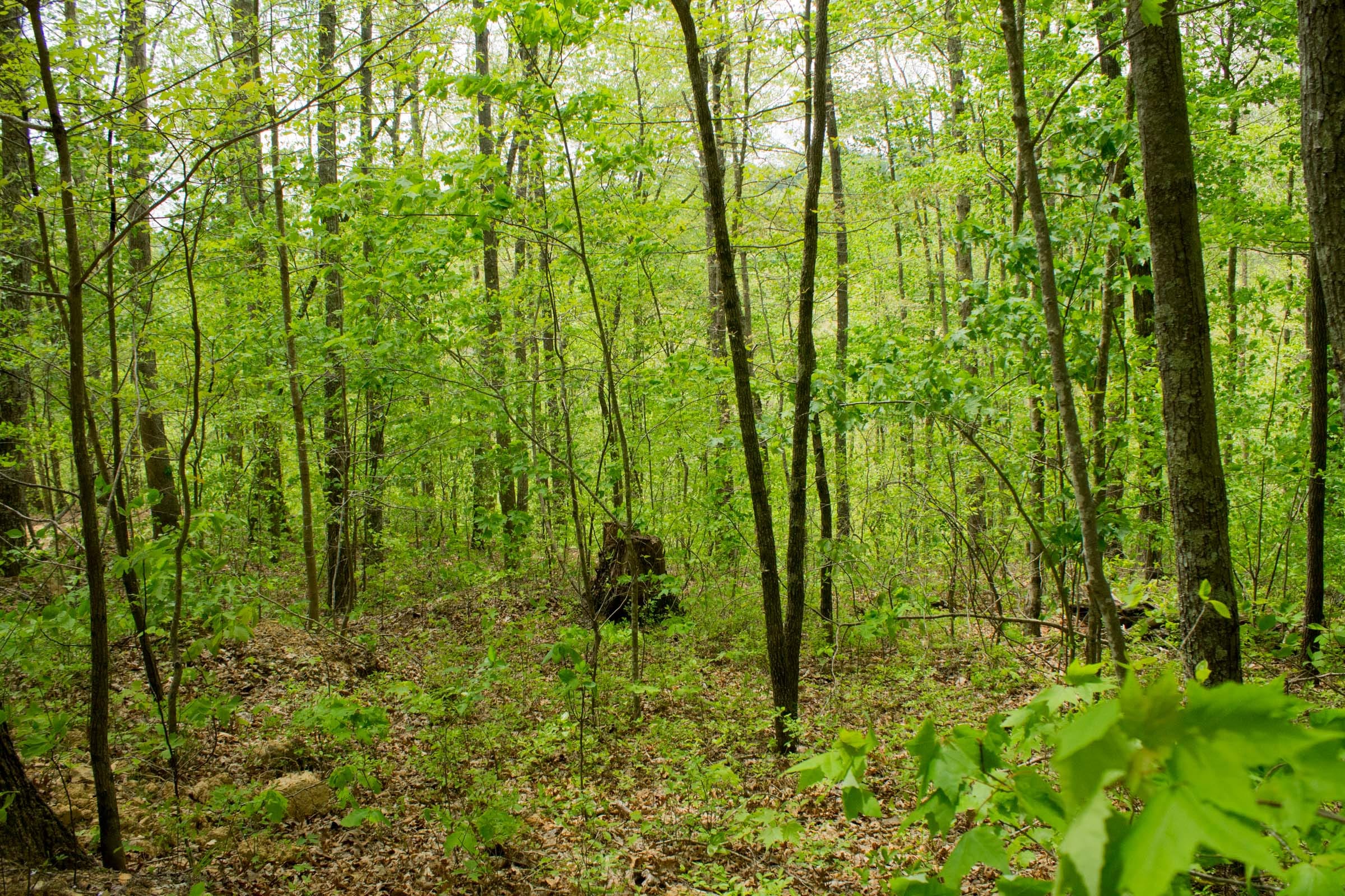 Trails End Tract 13 photo 13