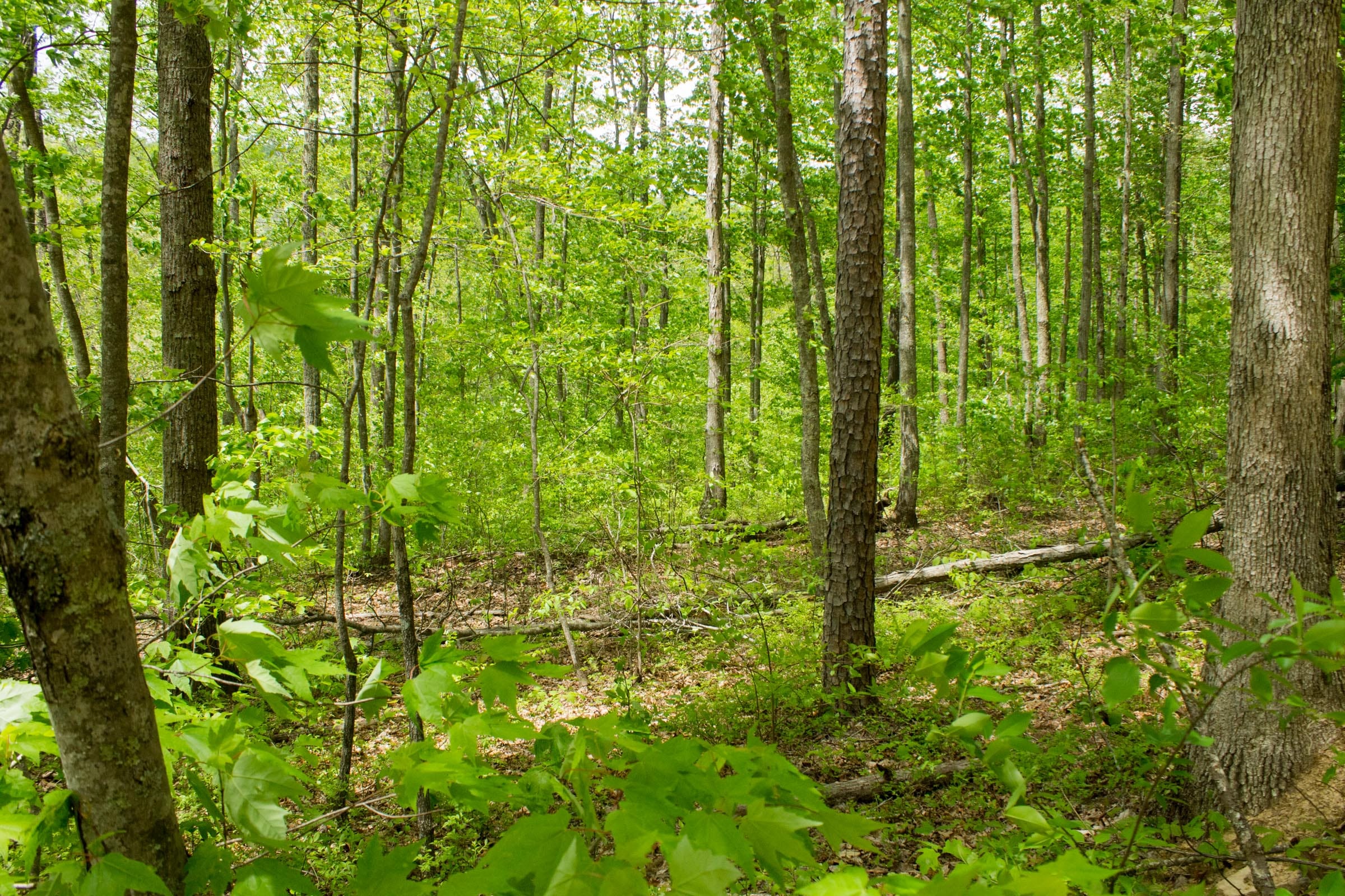 Trails End Tract 13 photo 1
